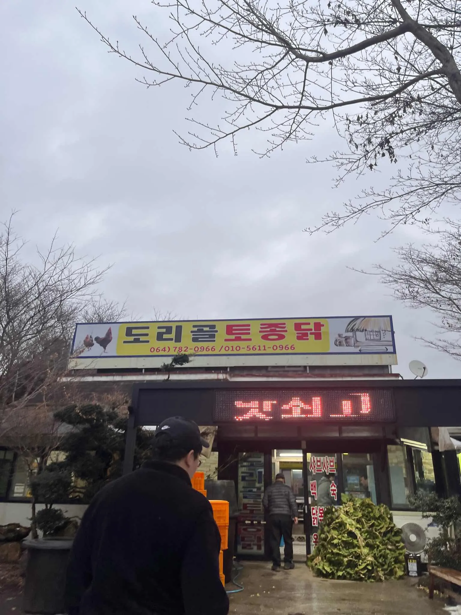 대표 사진 2