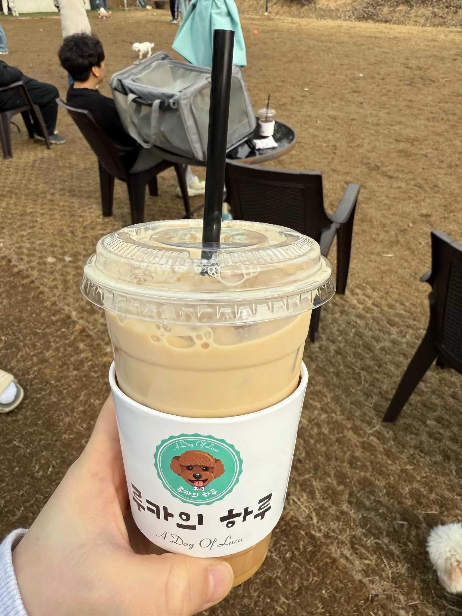 대표 사진 0