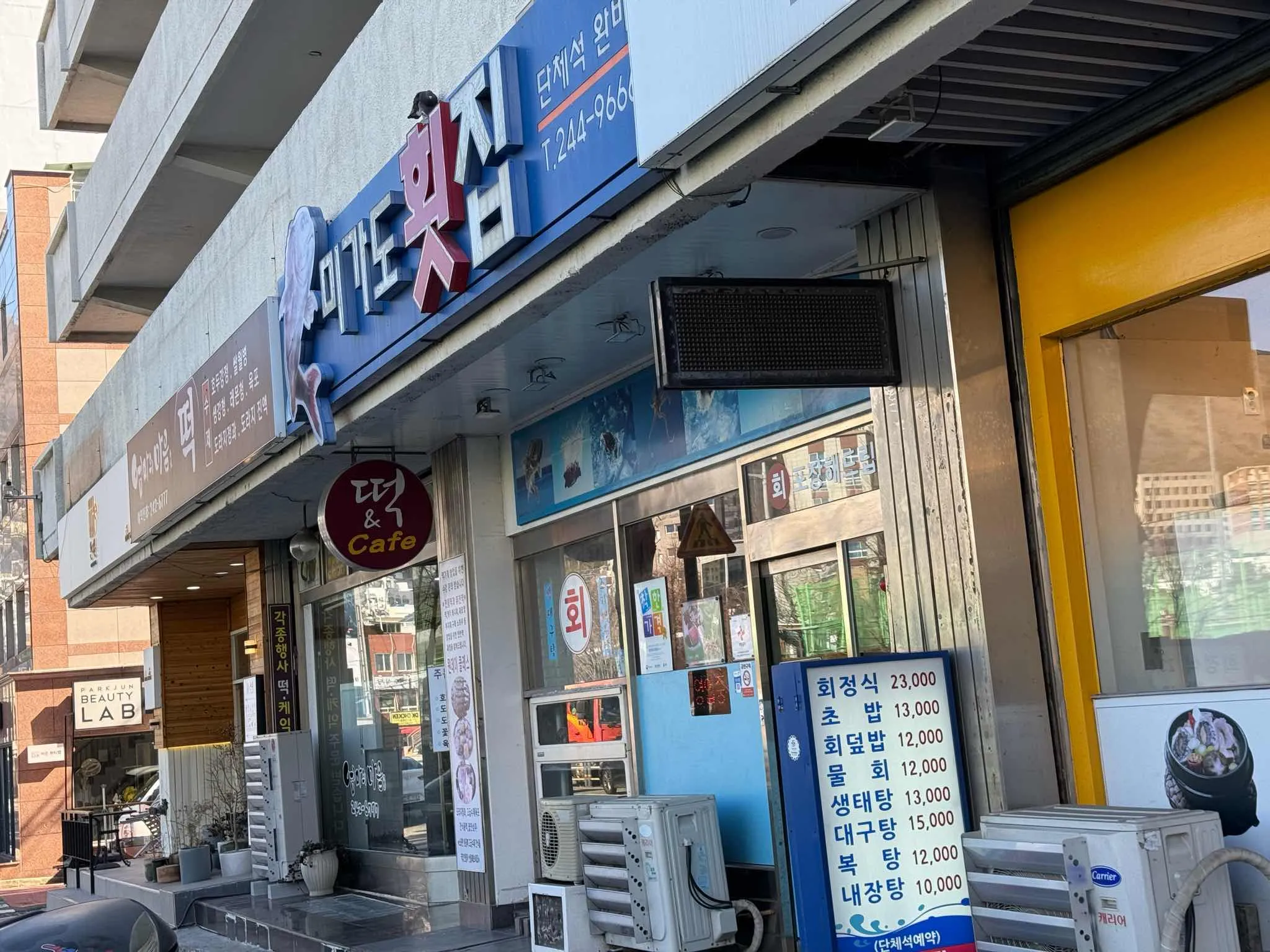 대표 사진 0