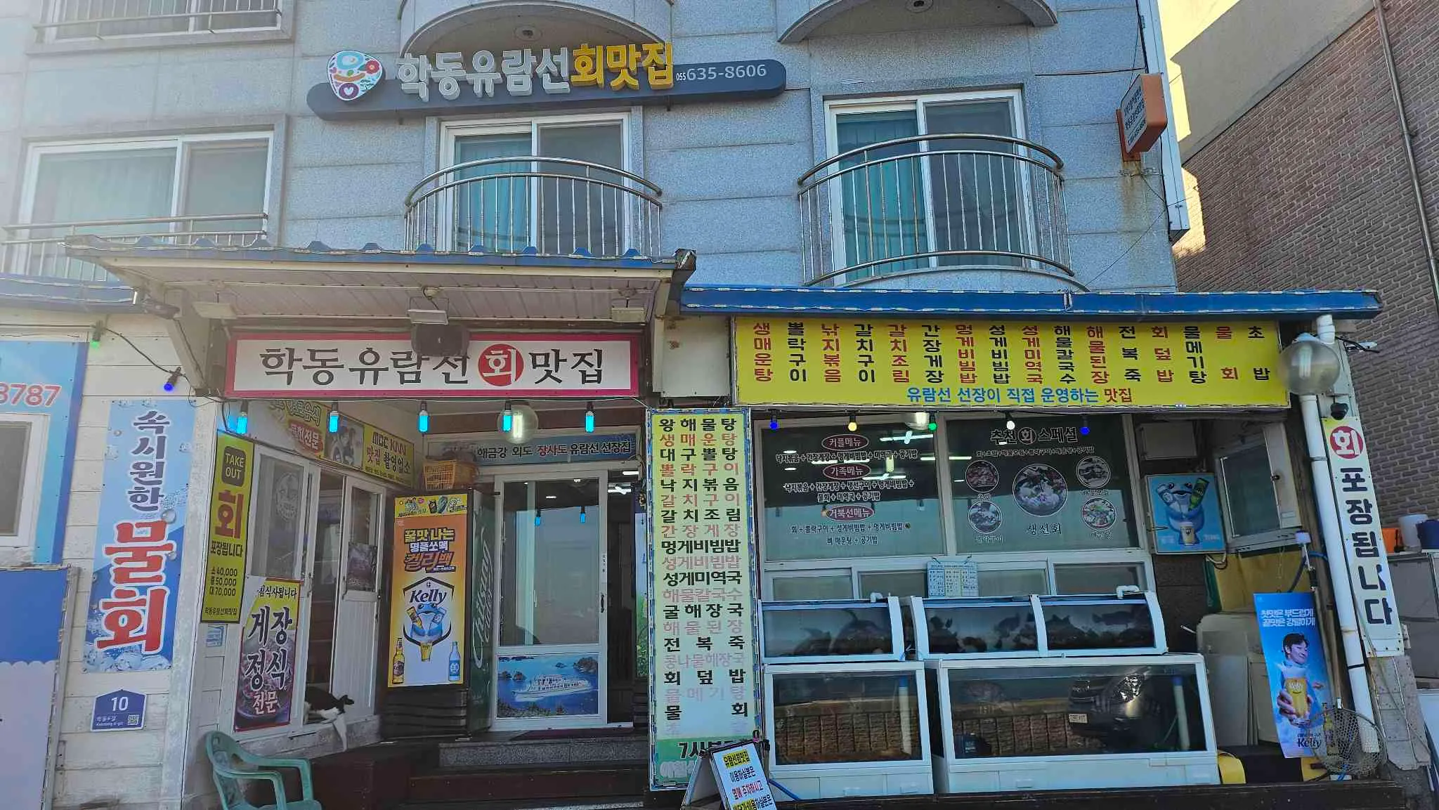 대표 사진 1