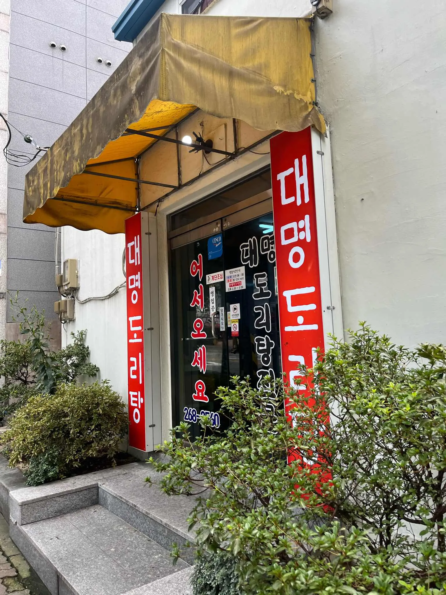 대표 사진 1
