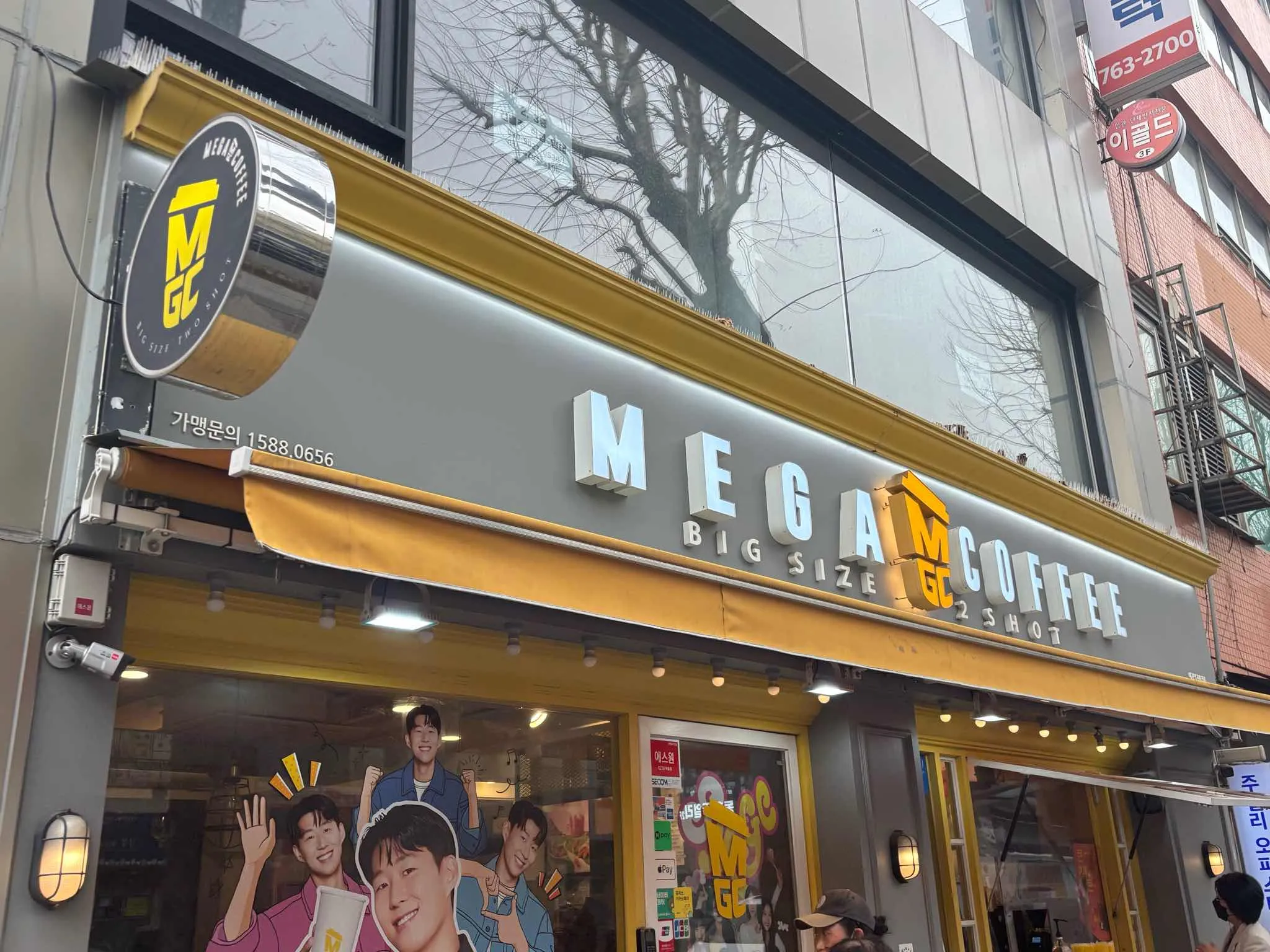 대표 사진 2