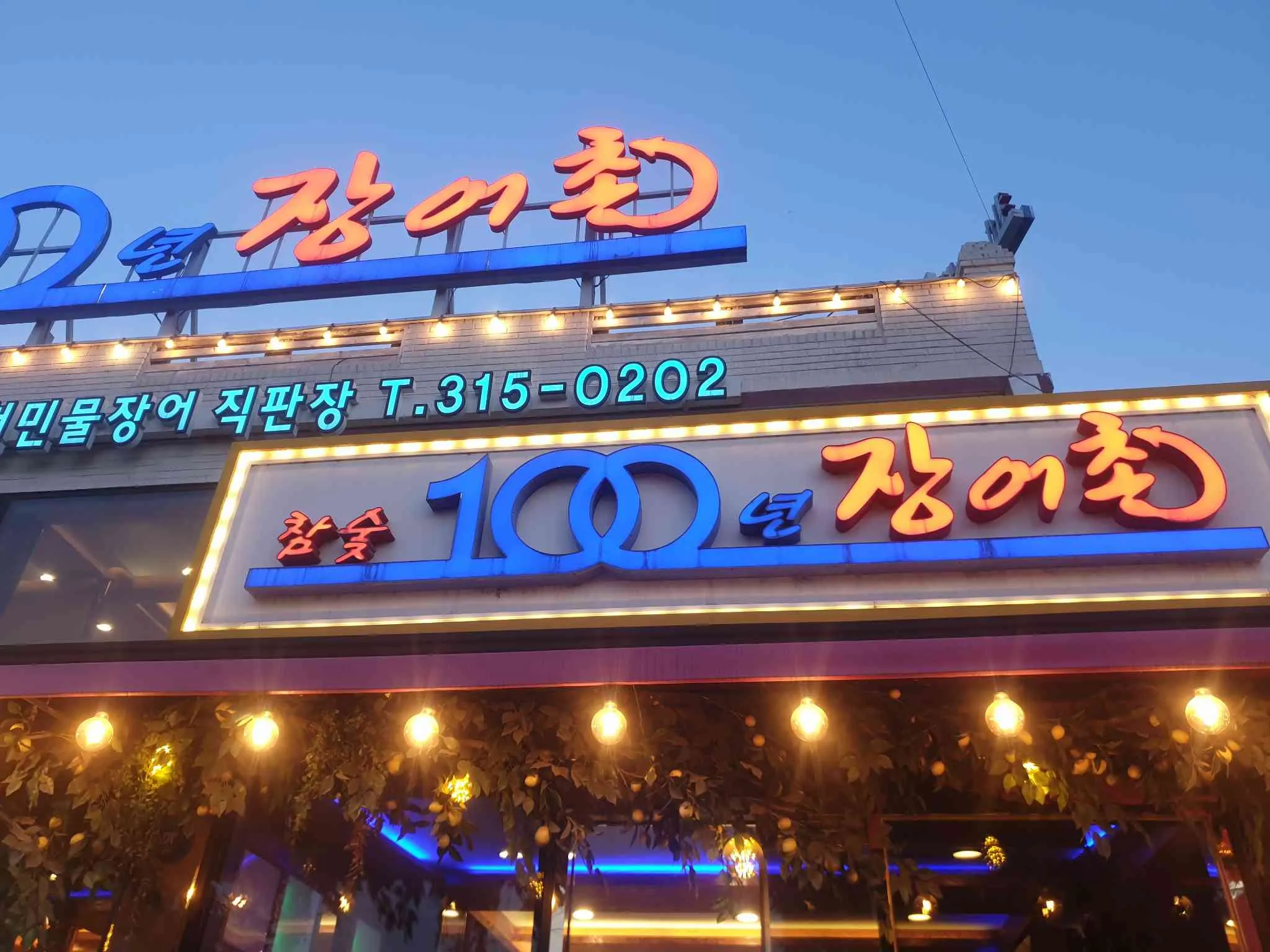 대표 사진 0