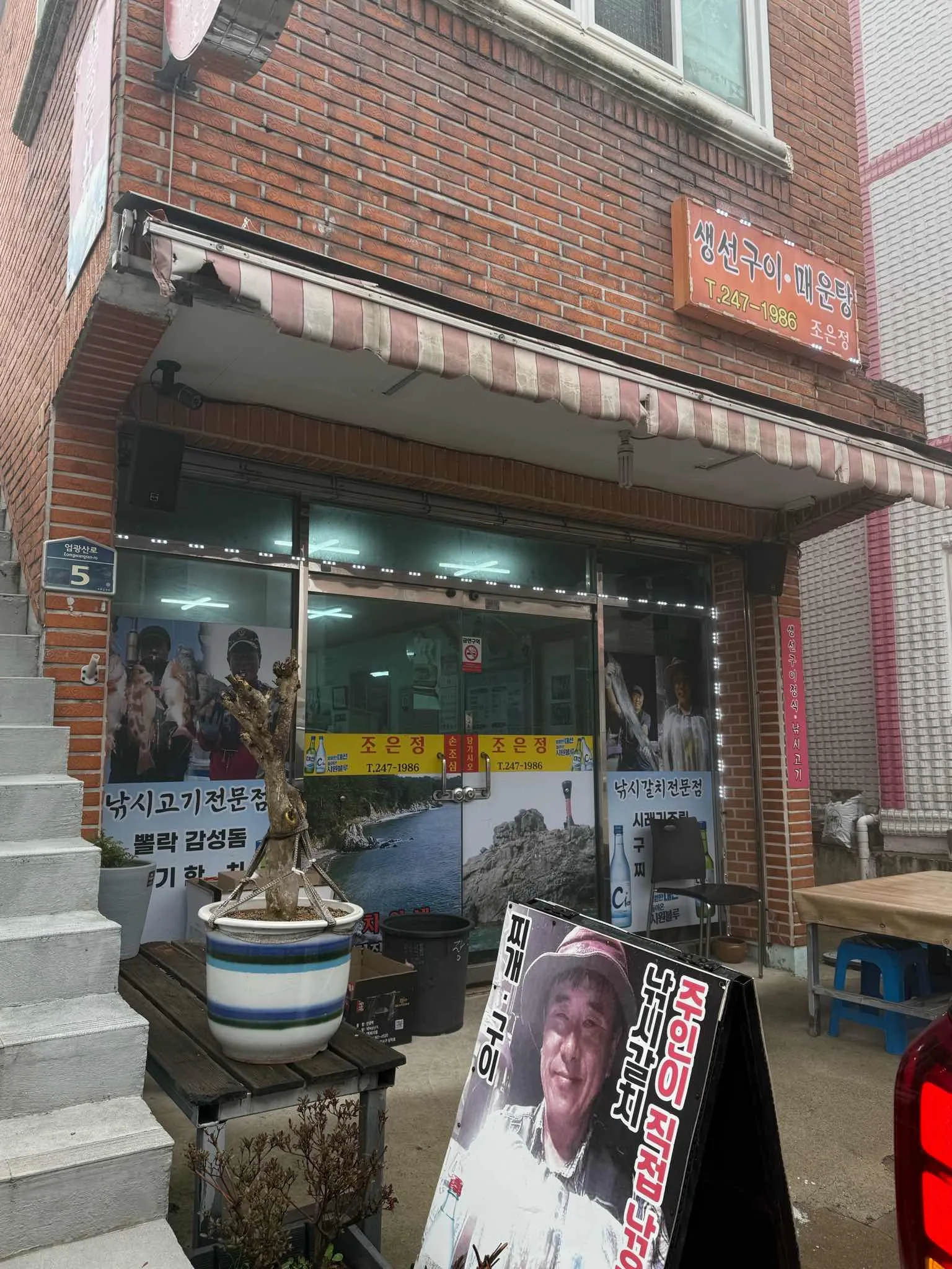 대표 사진 0