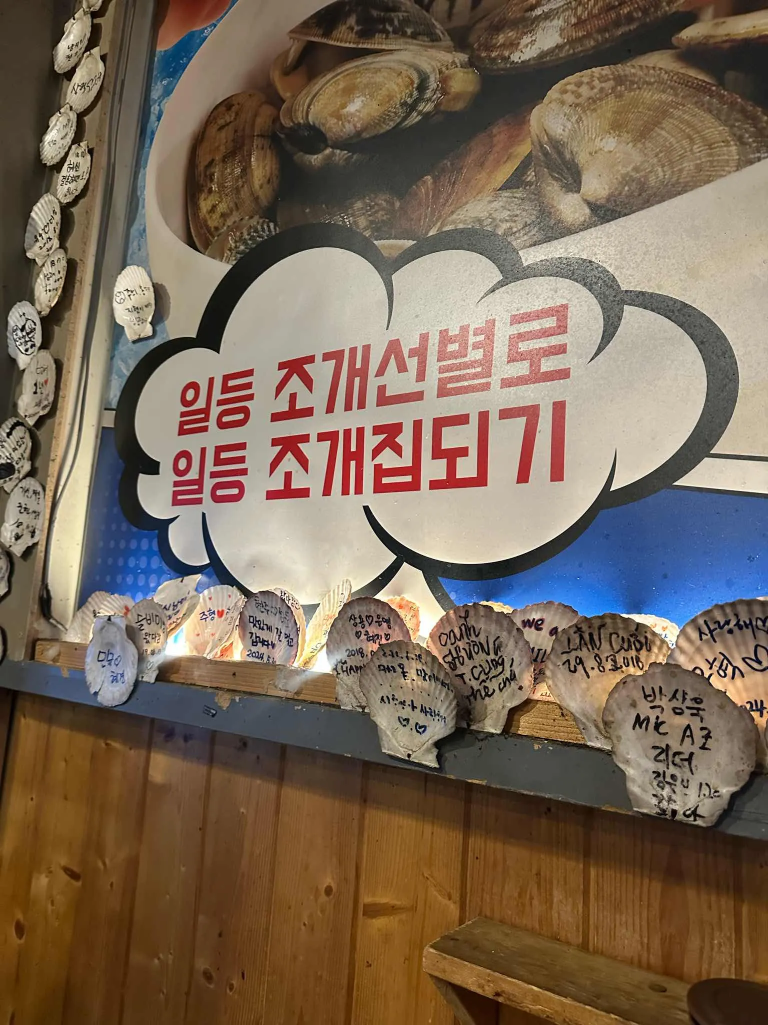 대표 사진 4