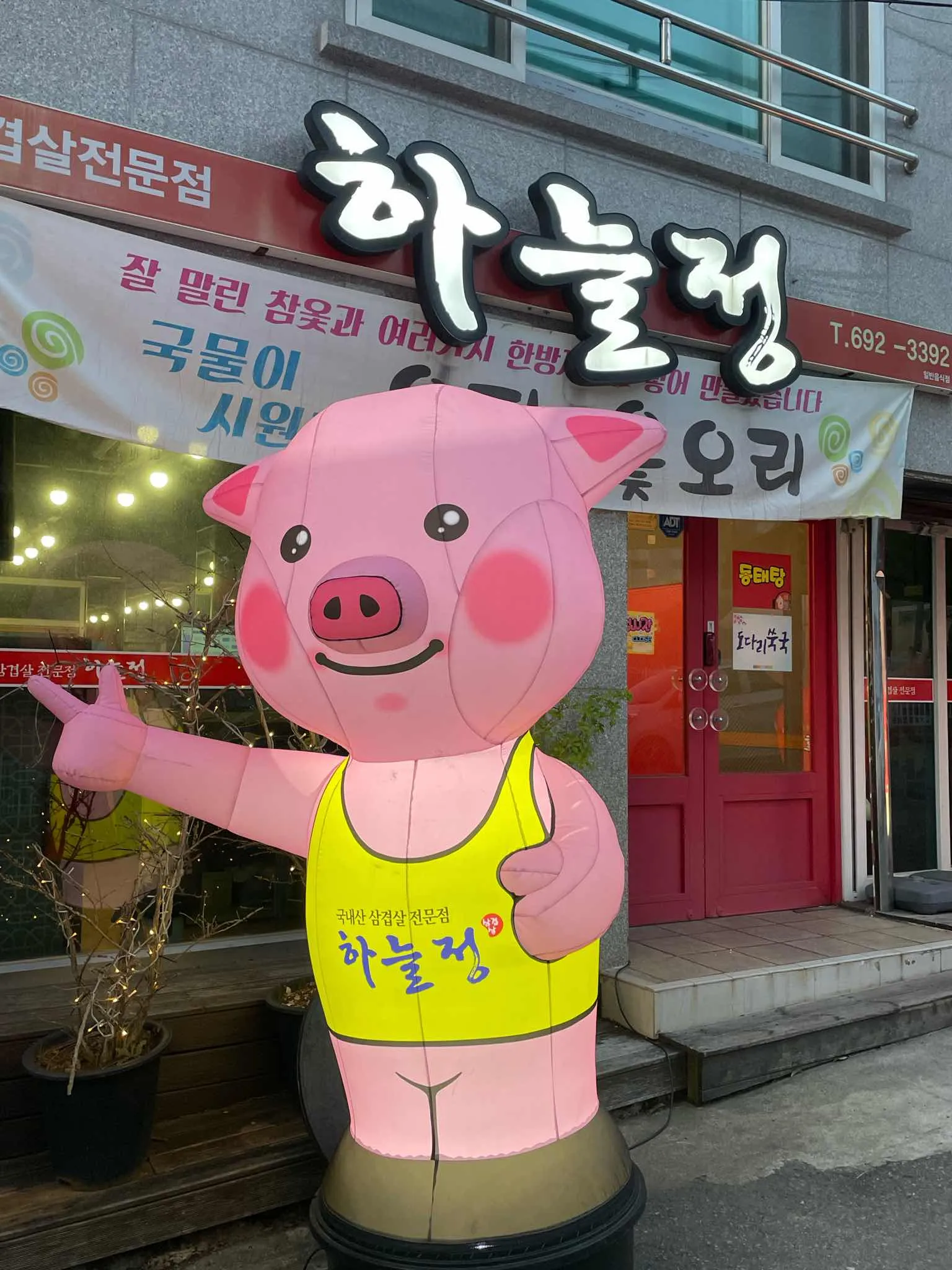 대표 사진 1