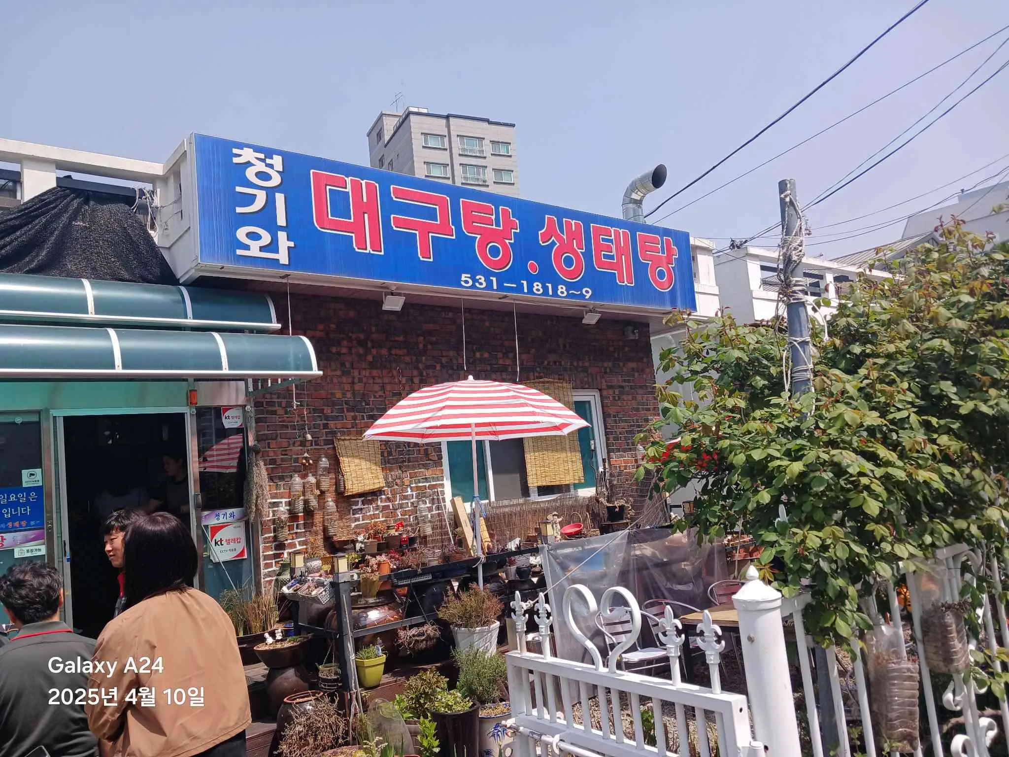 대표 사진 2