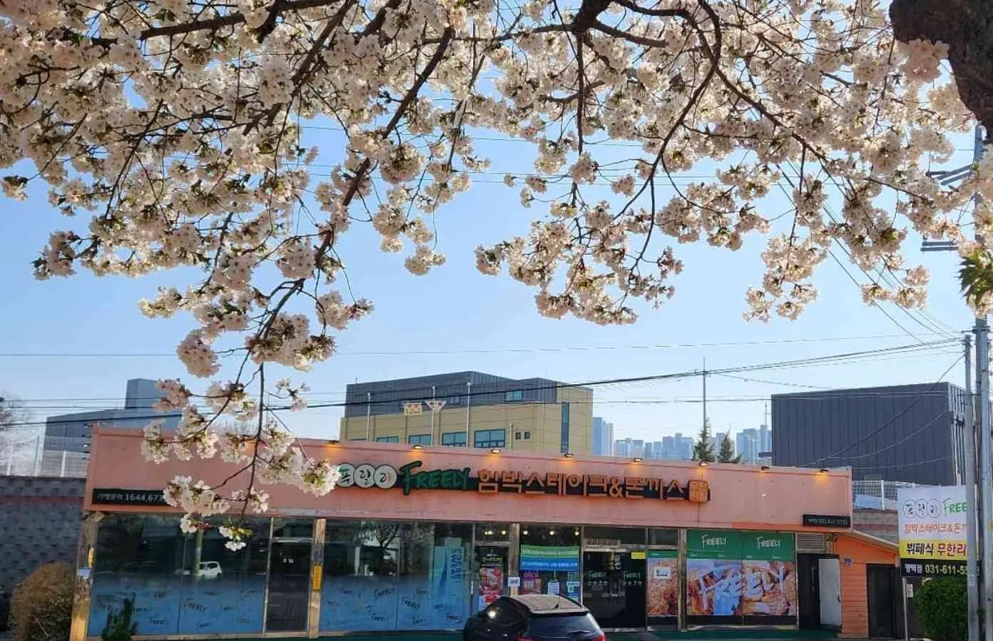 대표 사진 0