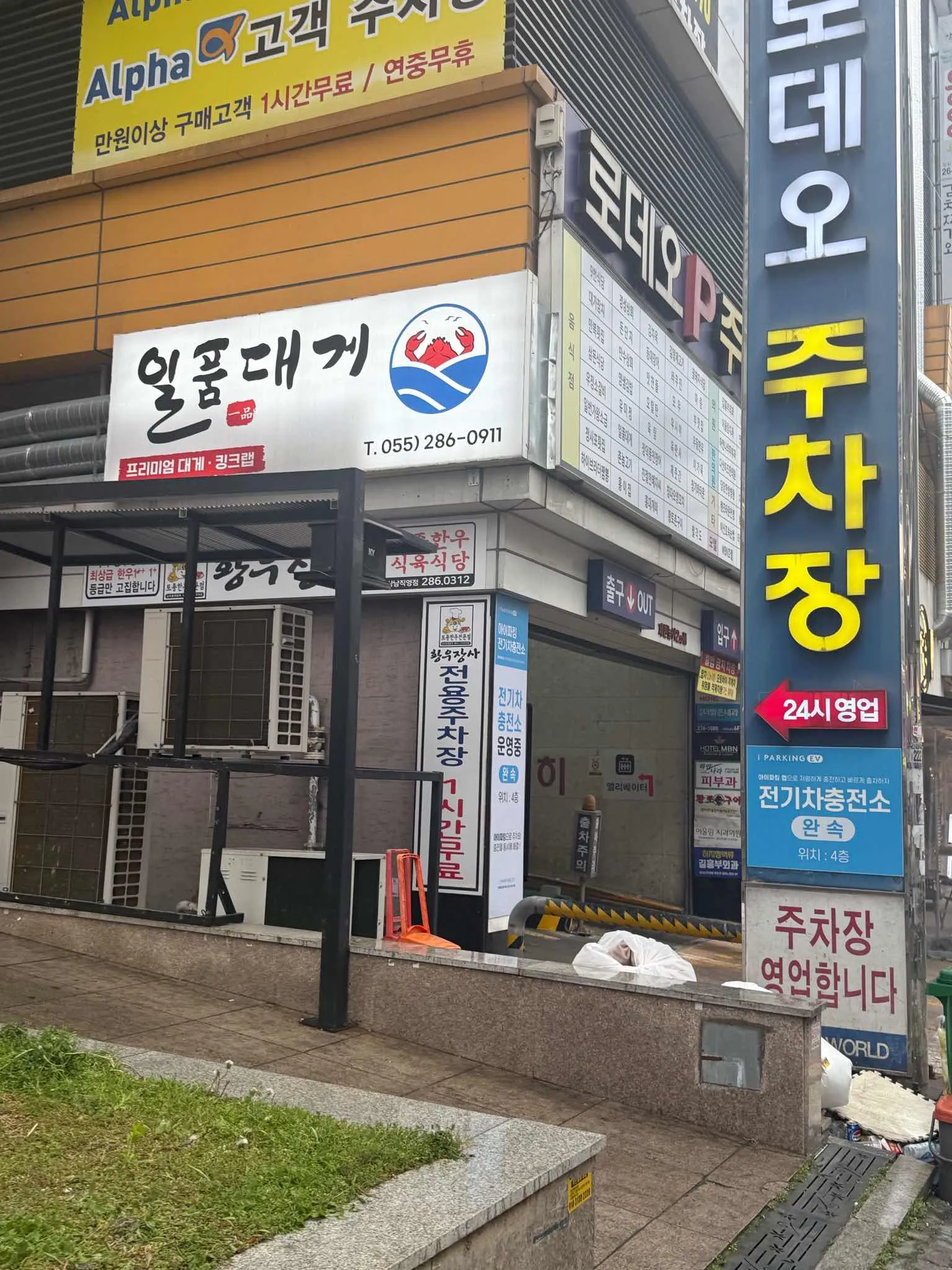 대표 사진 0