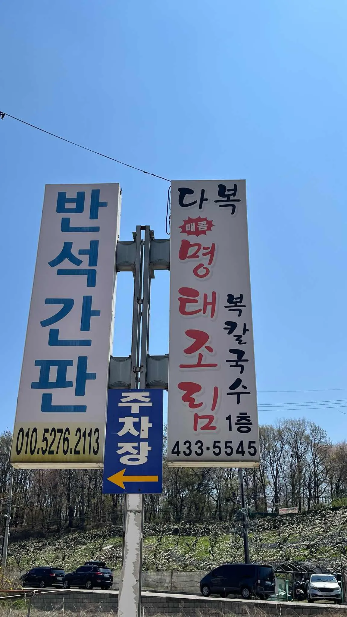 대표 사진 4