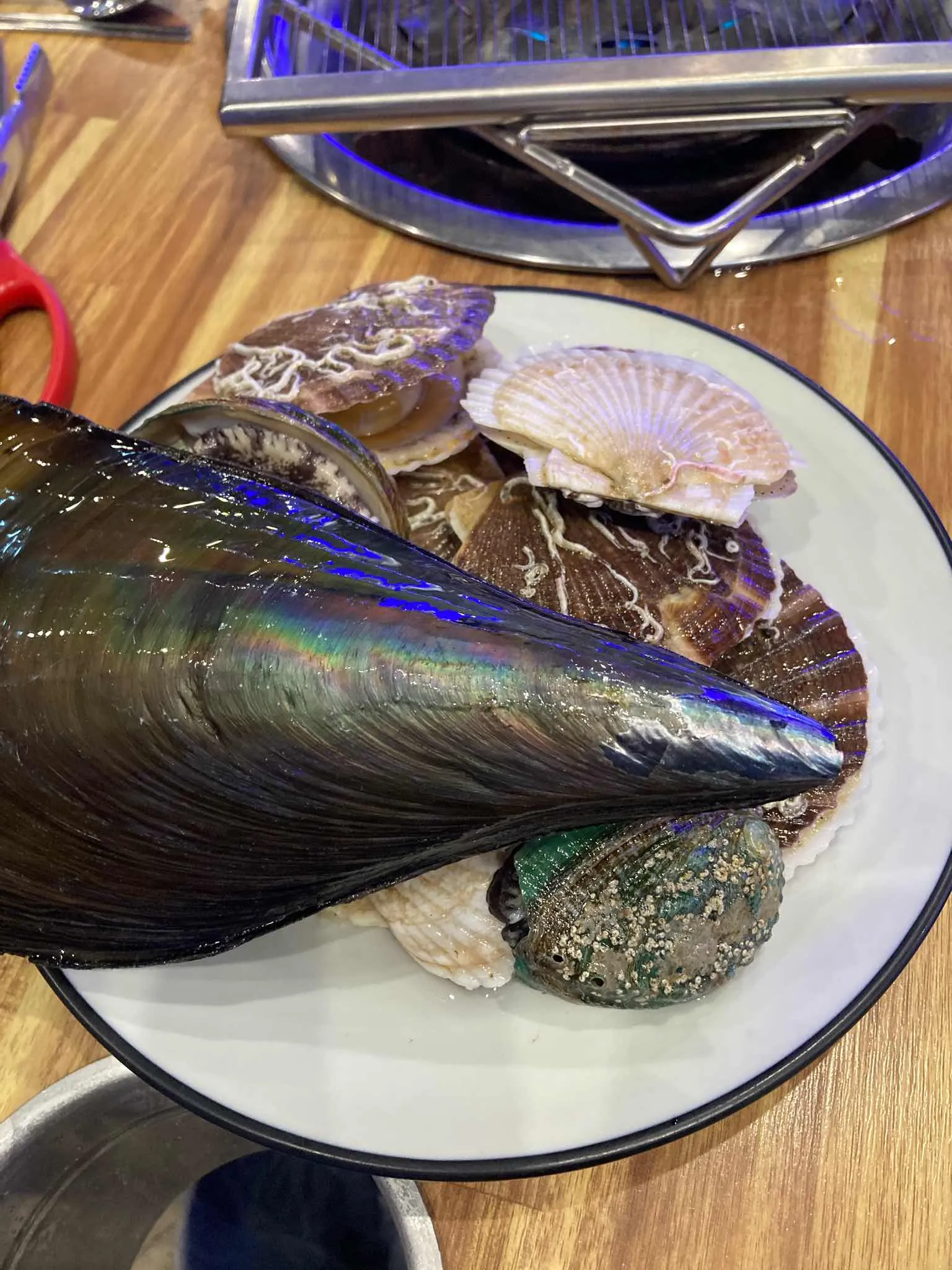 대표 사진 0