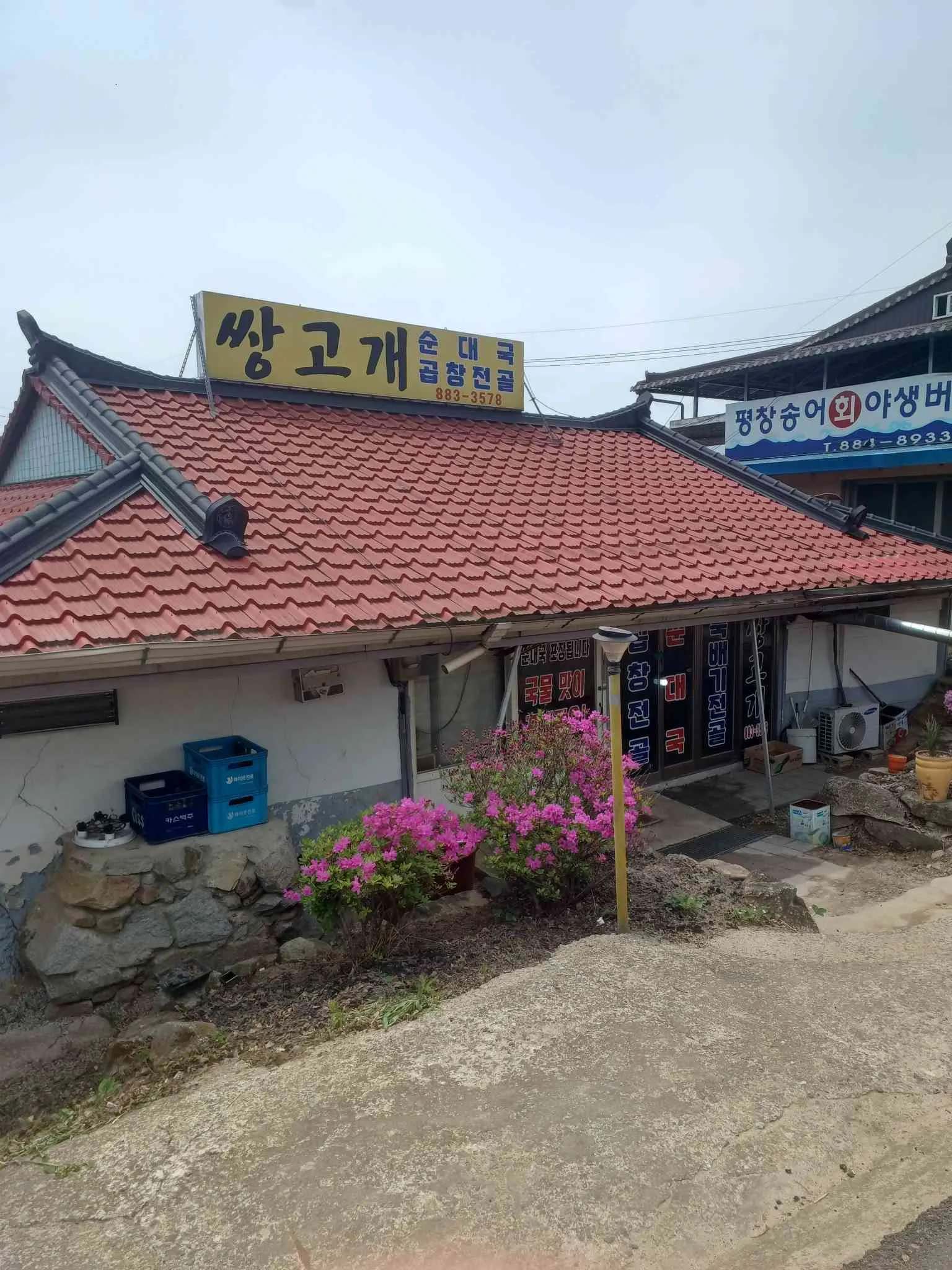 대표 사진 0