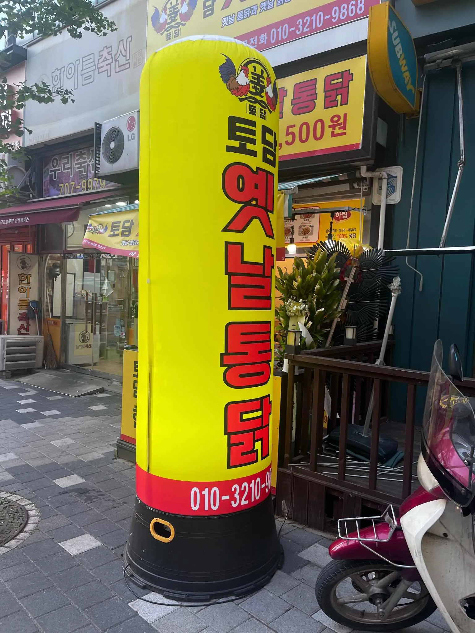 대표 사진 1