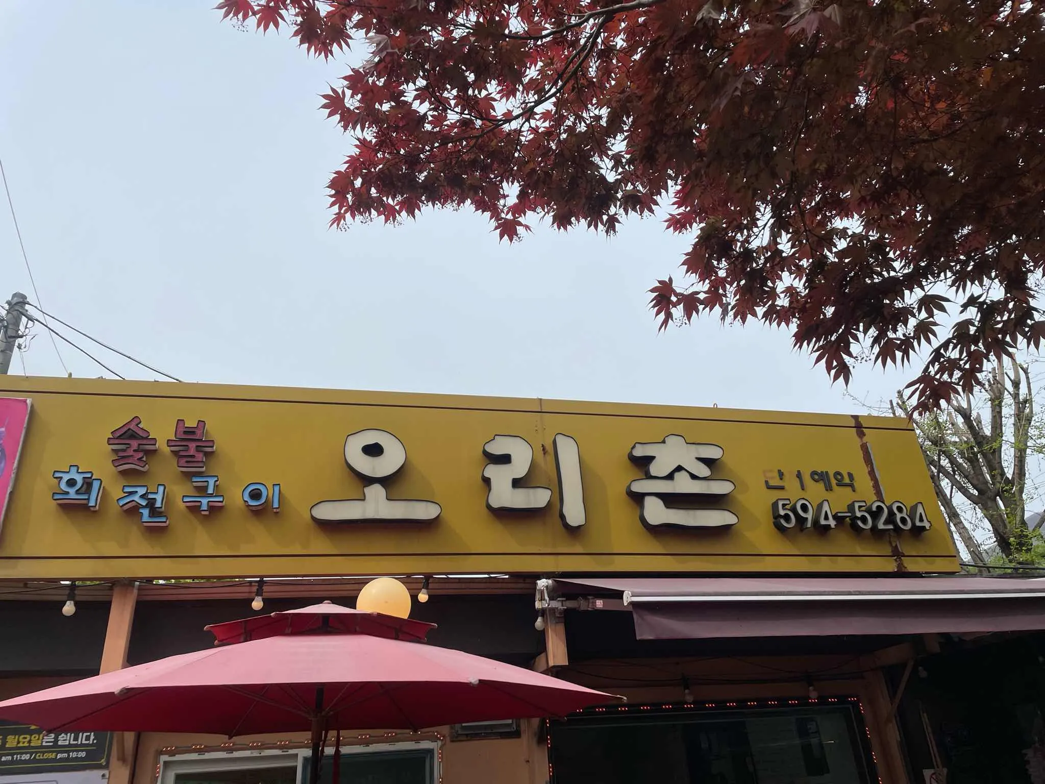 대표 사진 1
