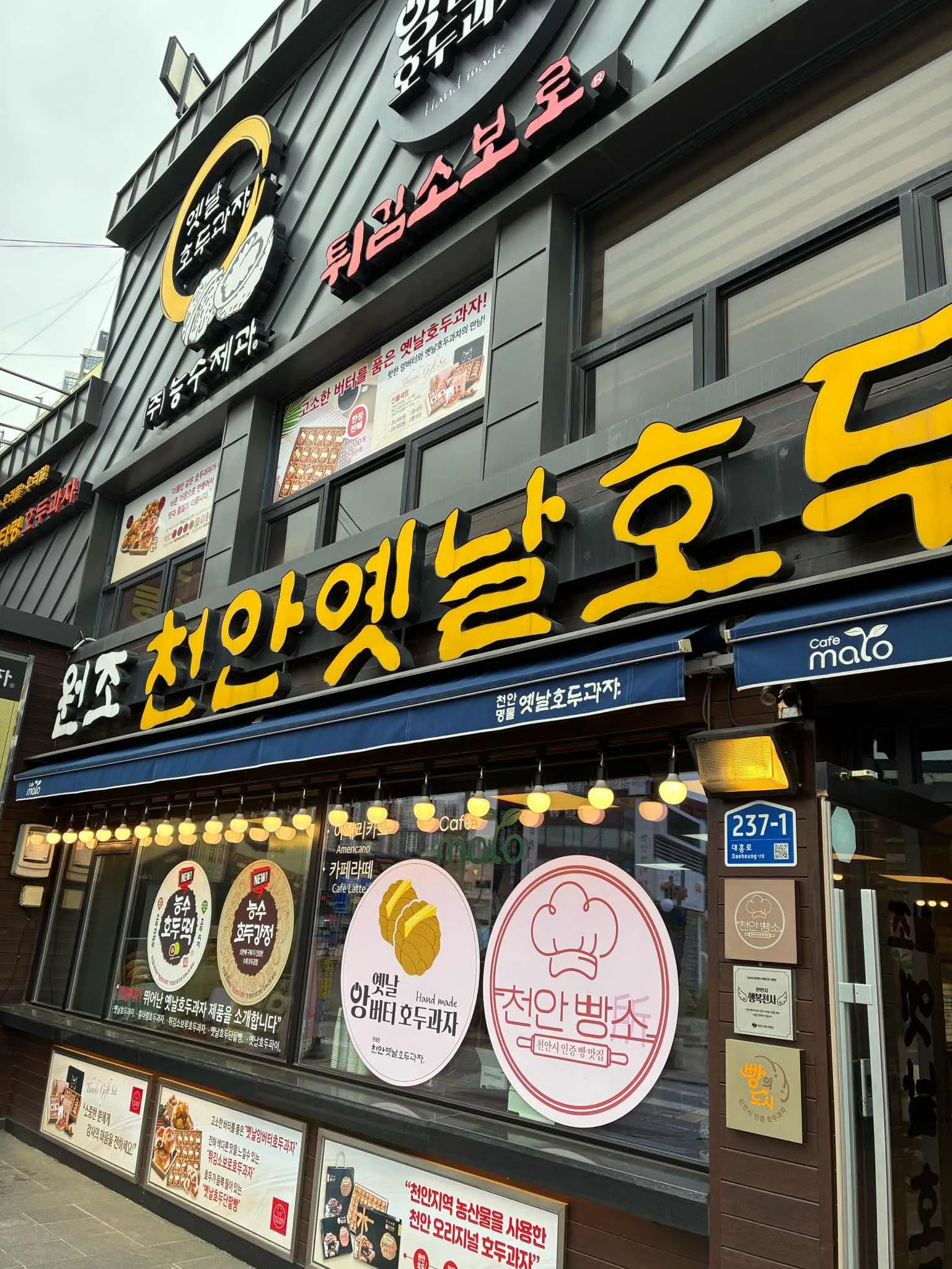 대표 사진 0