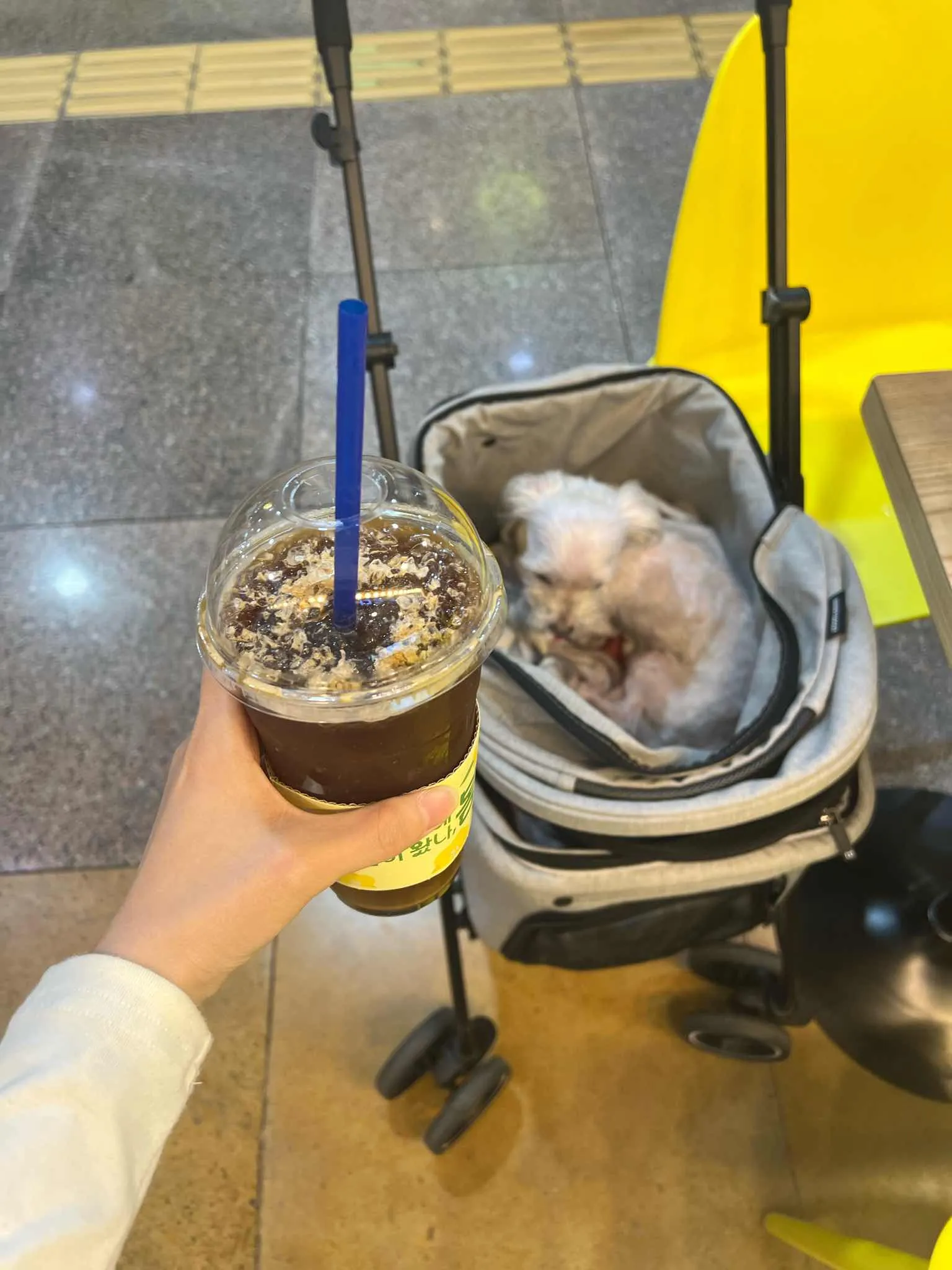 대표 사진 0