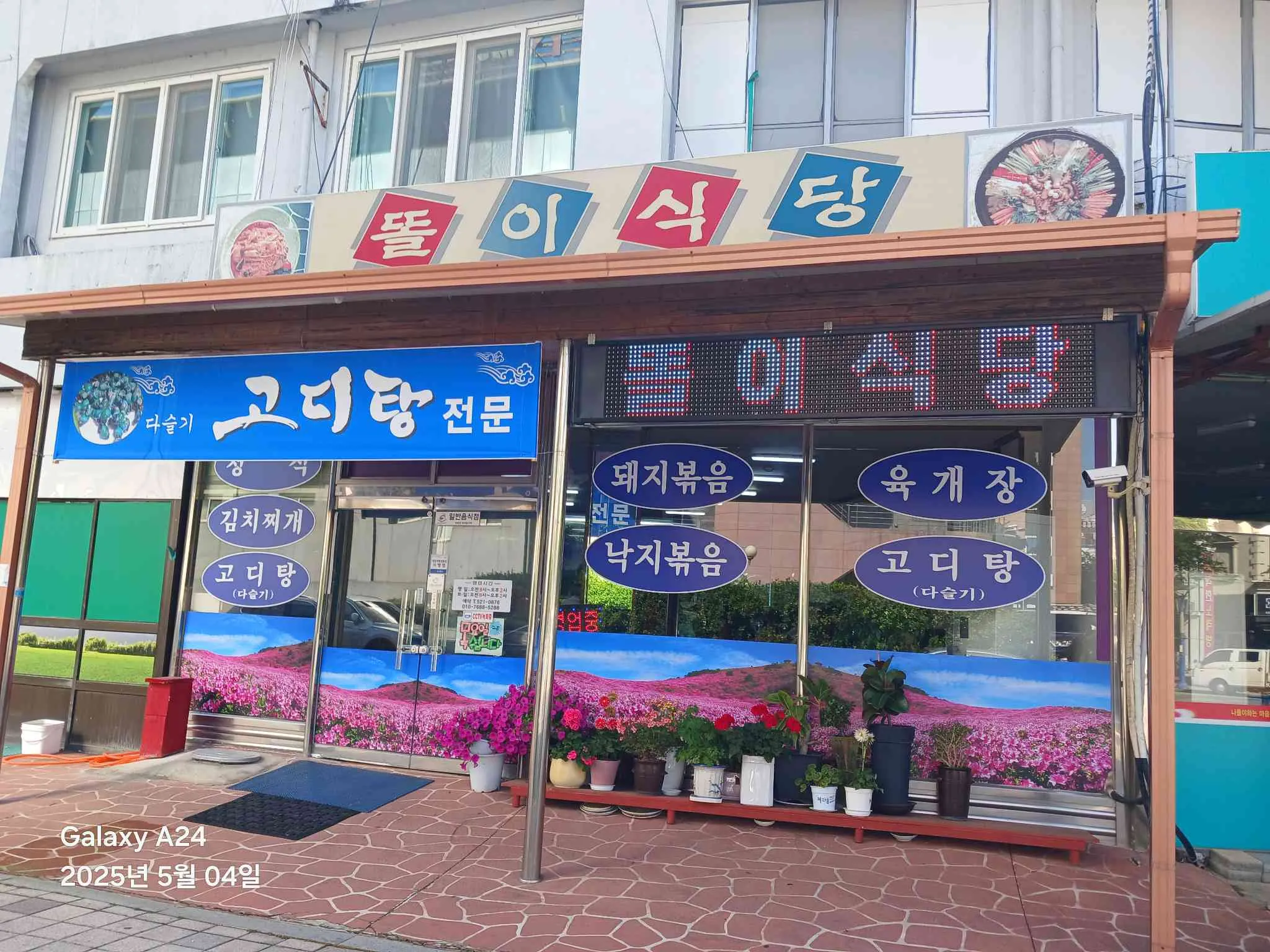 대표 사진 0