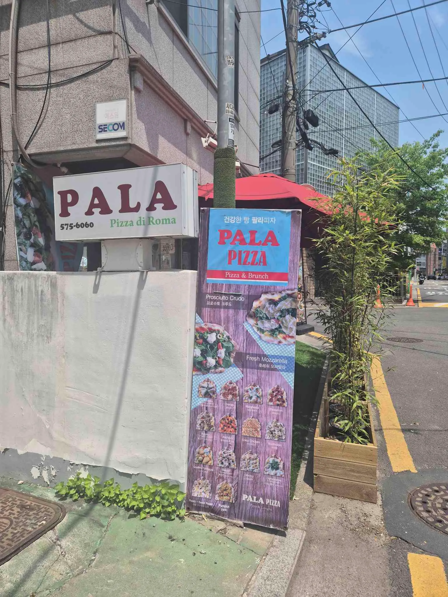 대표 사진 0