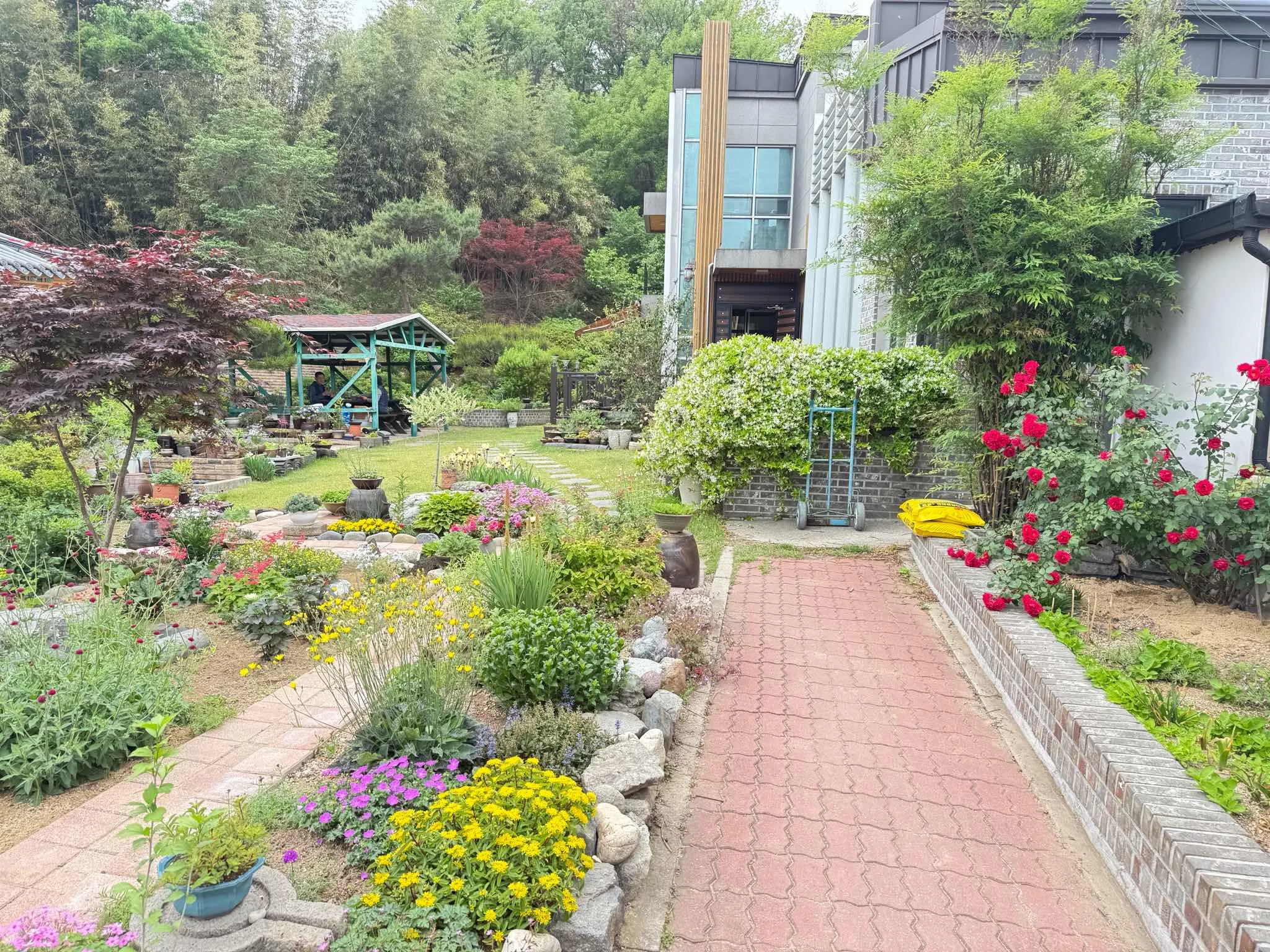 대표 사진 0