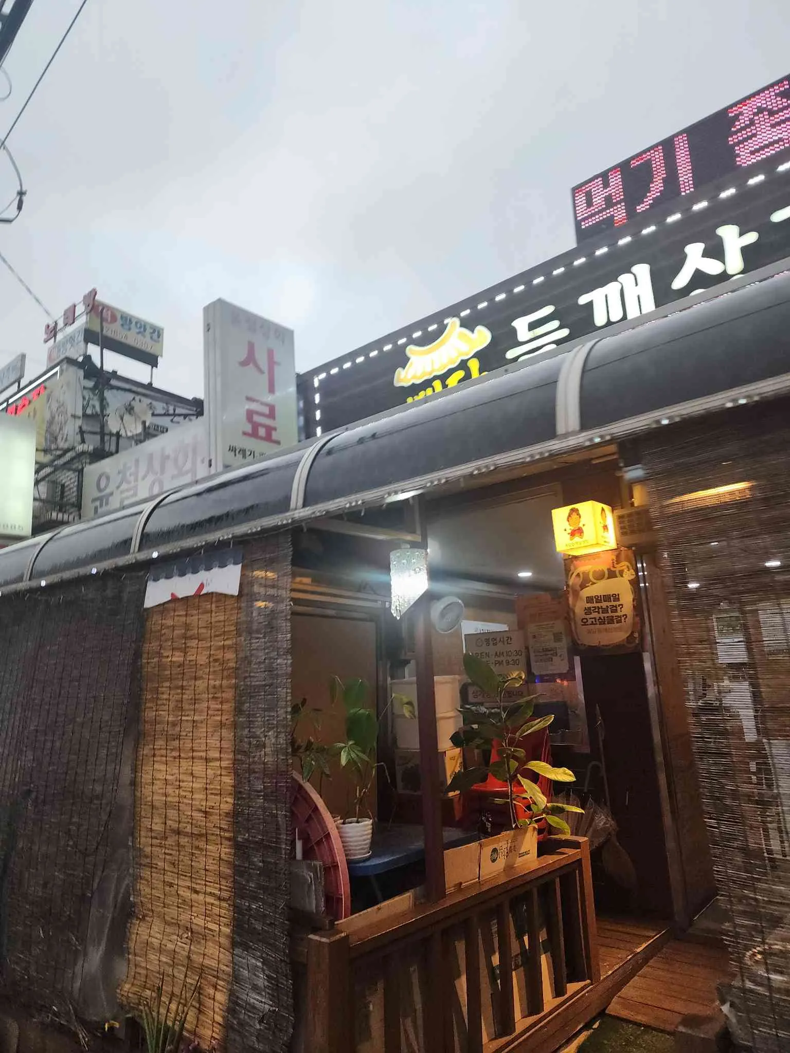 대표 사진 1