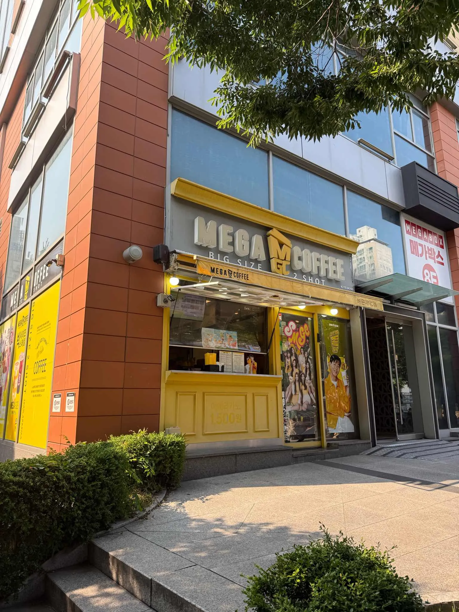대표 사진 2