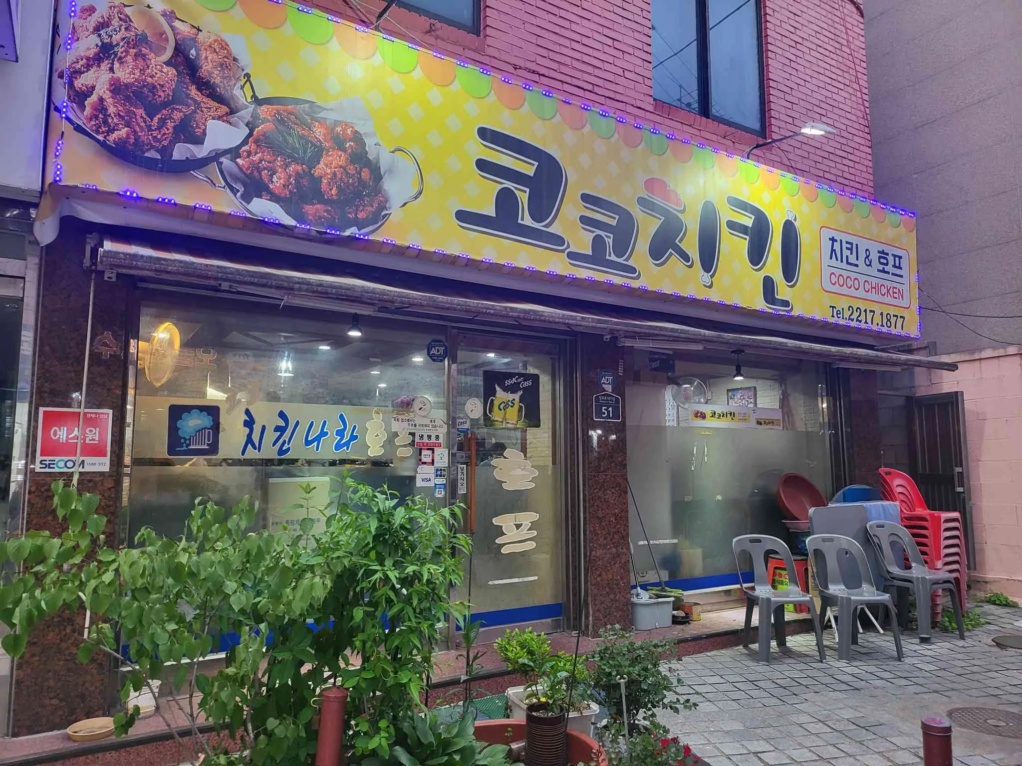 대표 사진 1