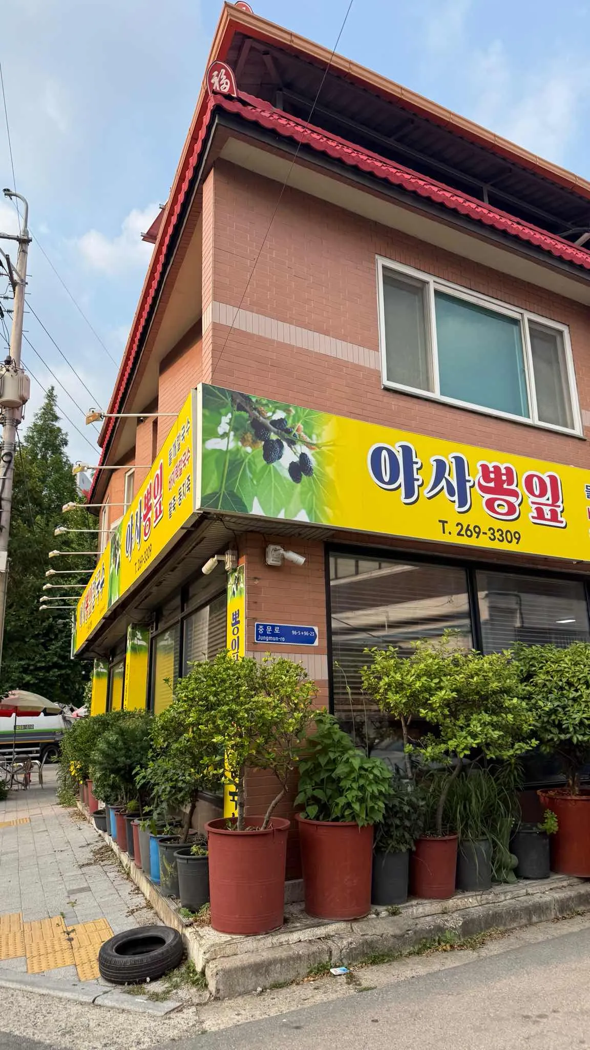 대표 사진 1