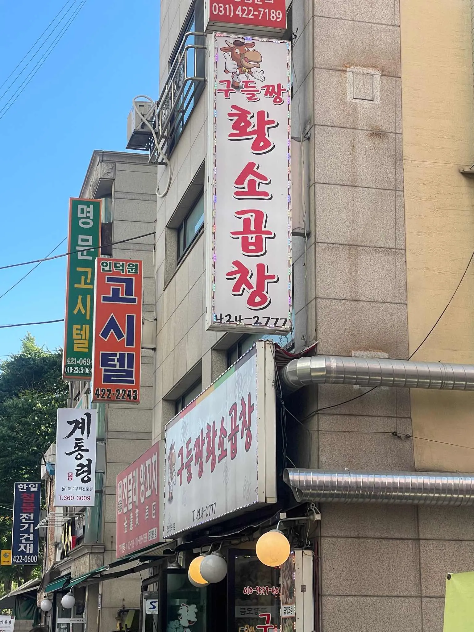 대표 사진 2