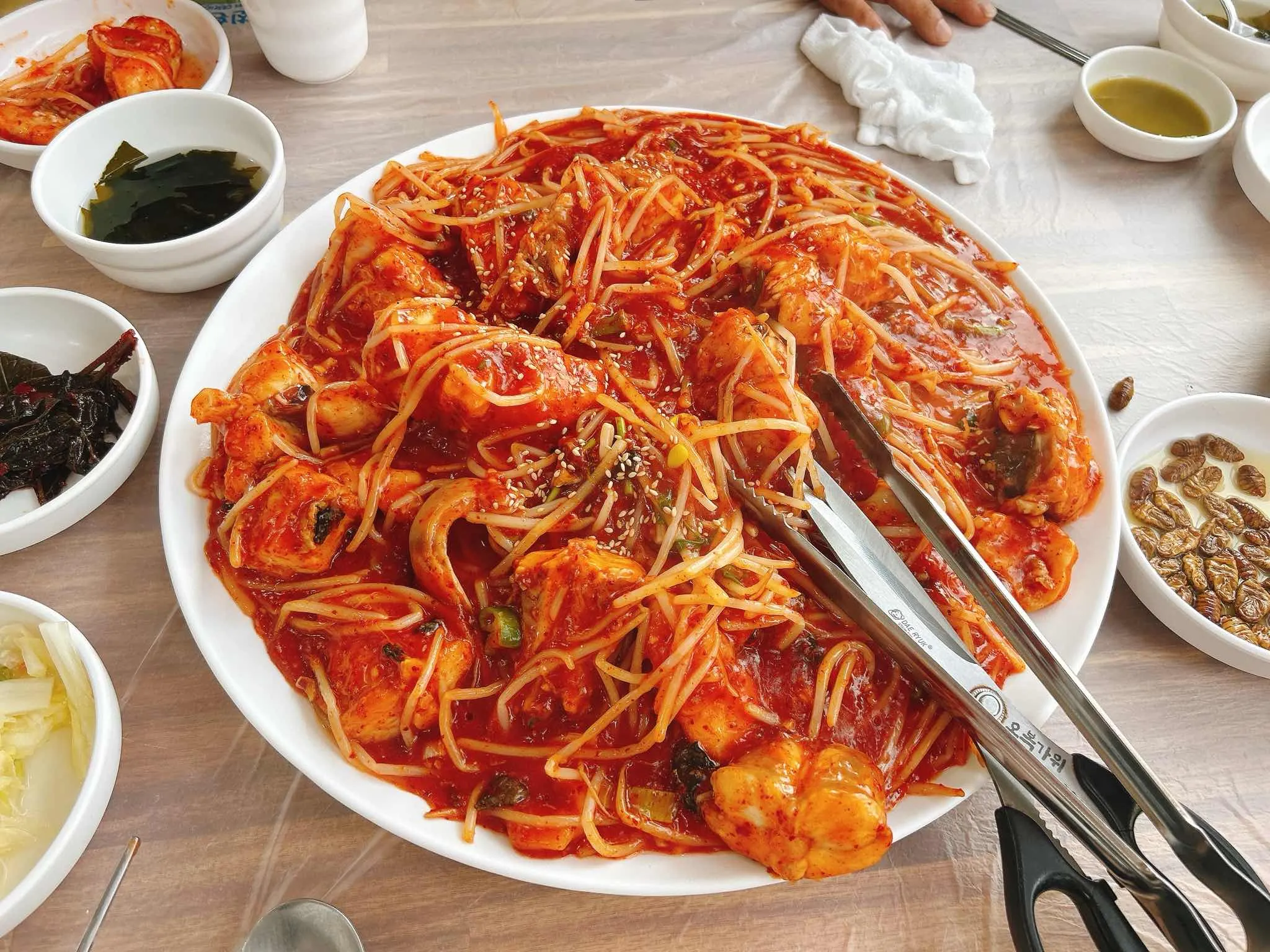 대표 사진 0