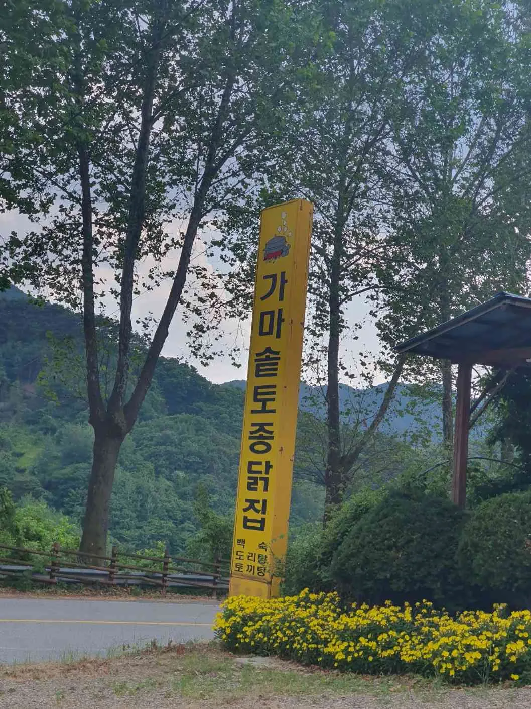 대표 사진 2