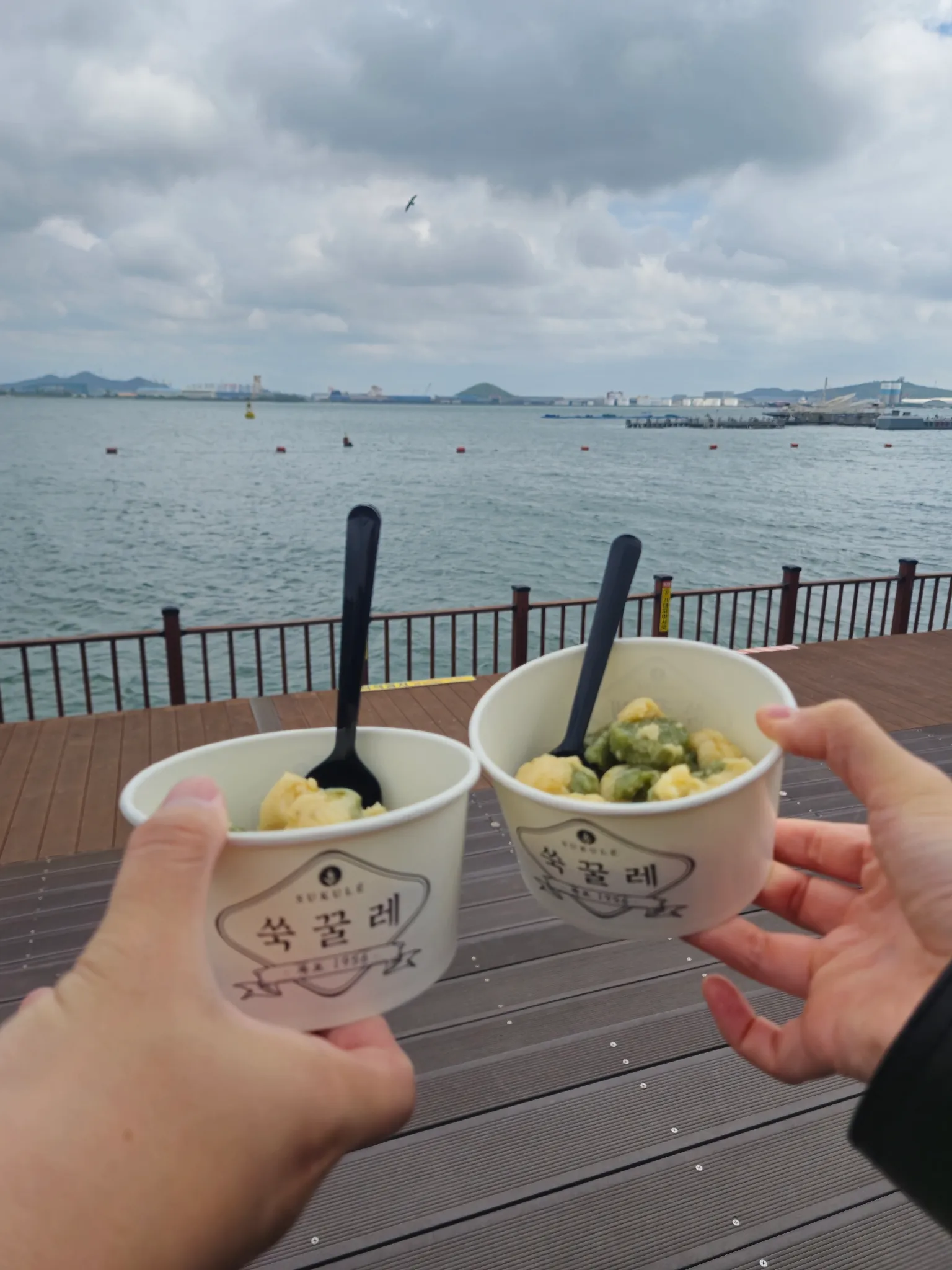 대표 사진 0