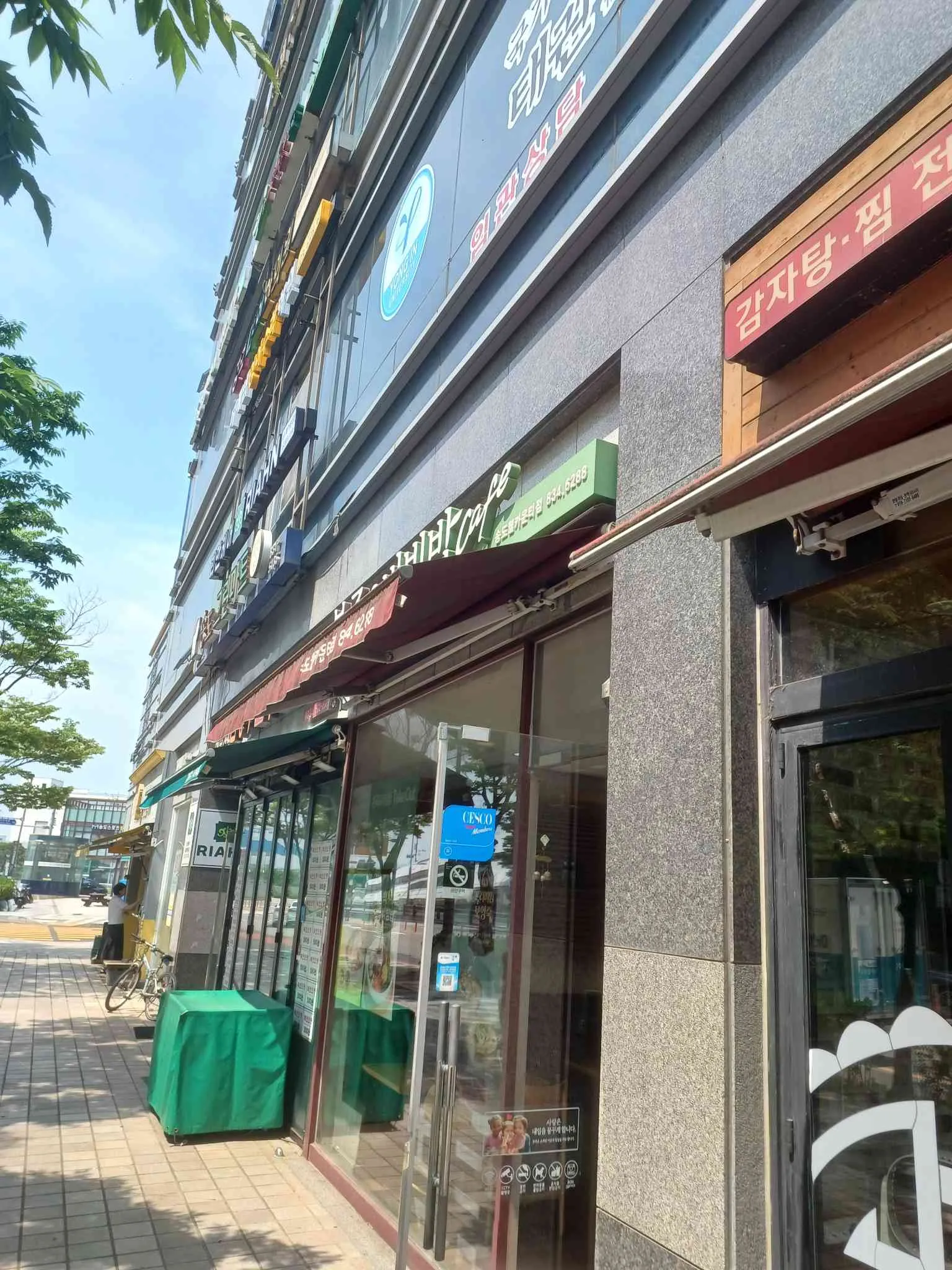 대표 사진 0