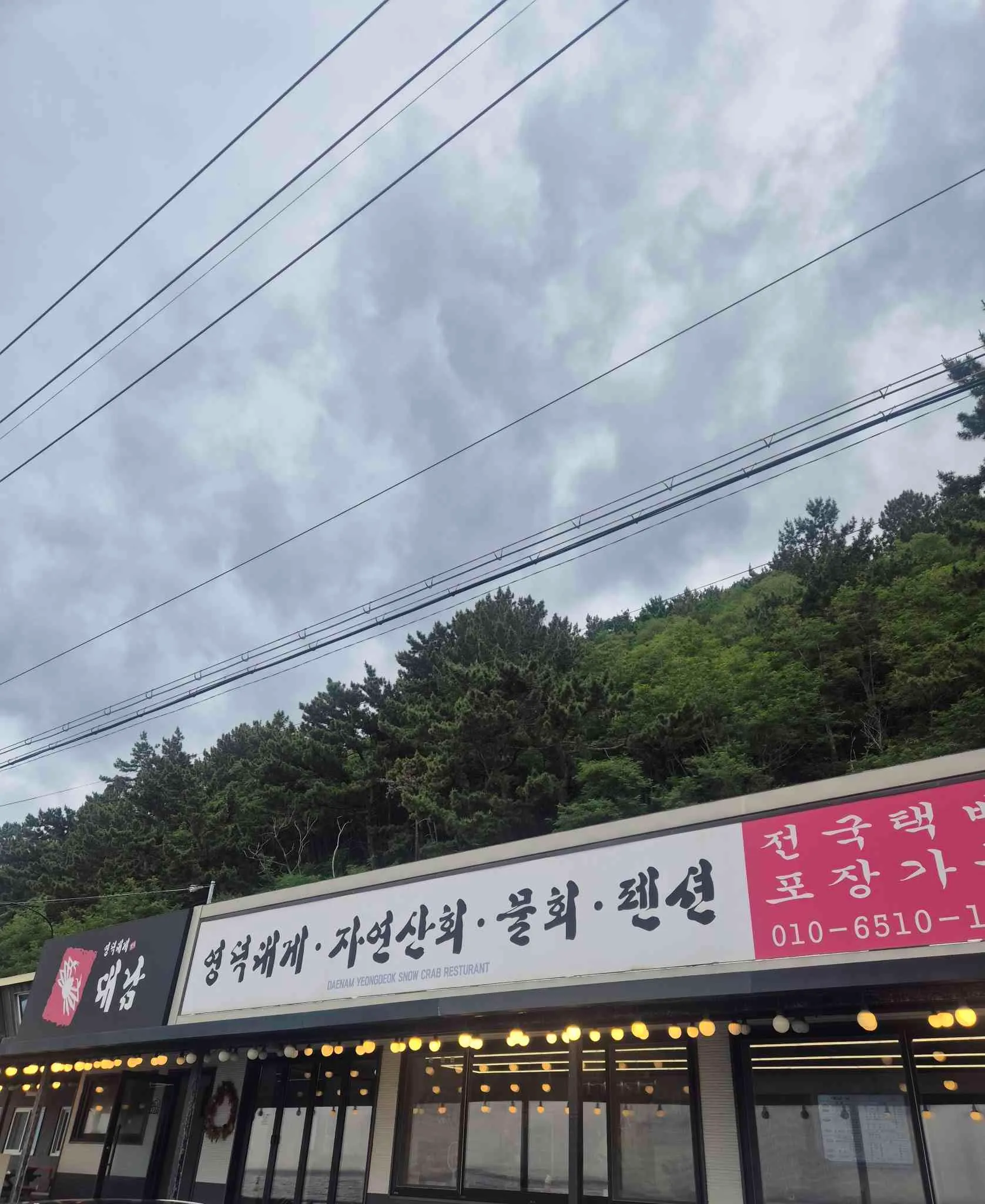대표 사진 0