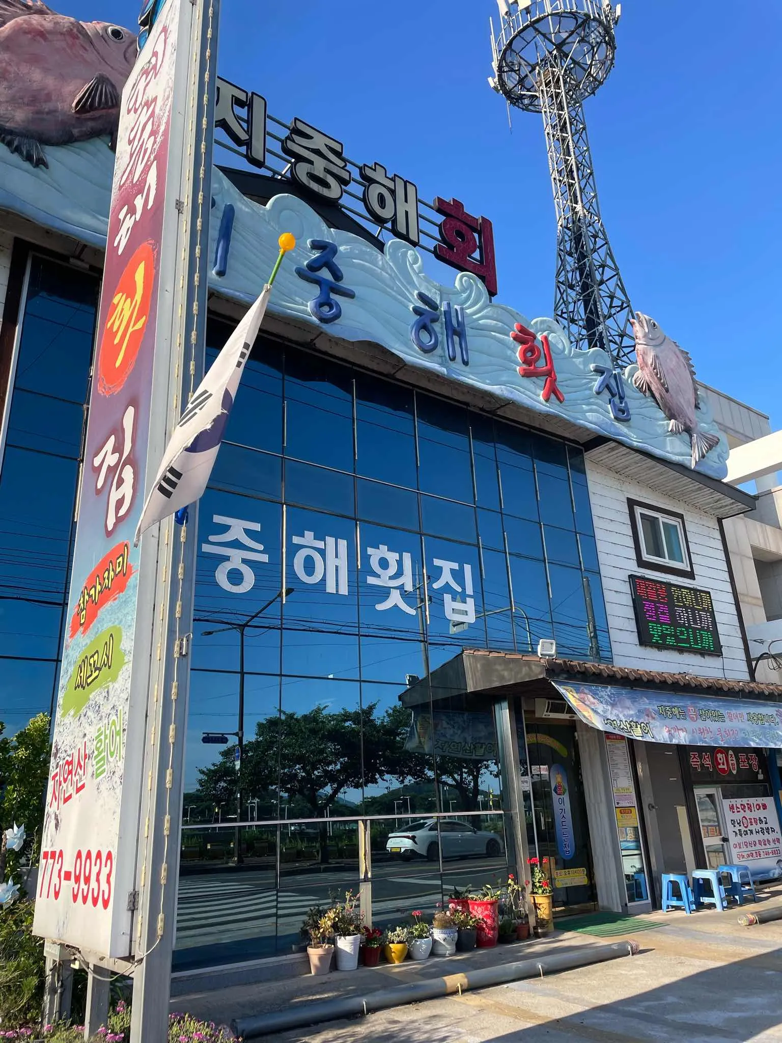 대표 사진 0