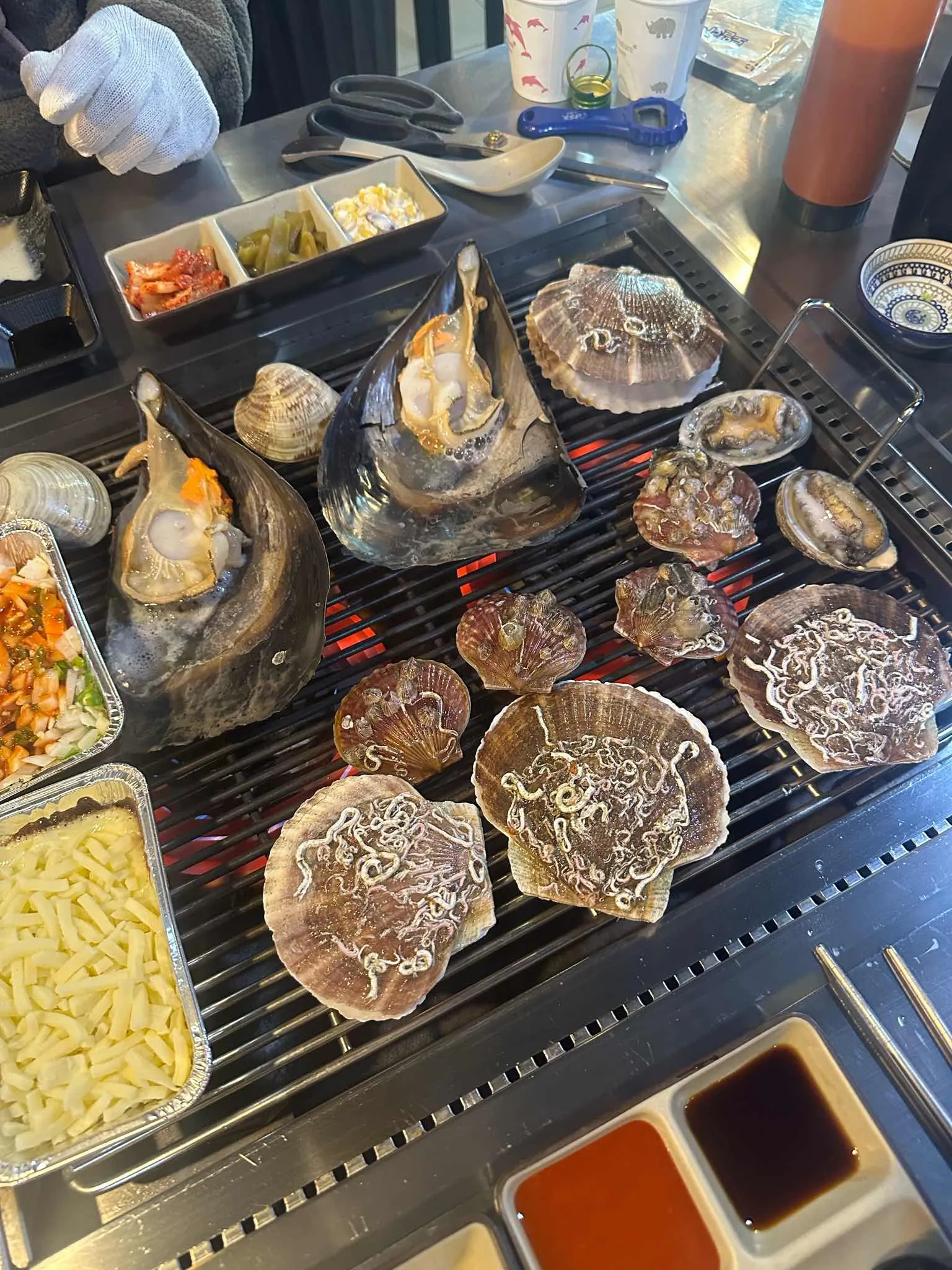 대표 사진 0