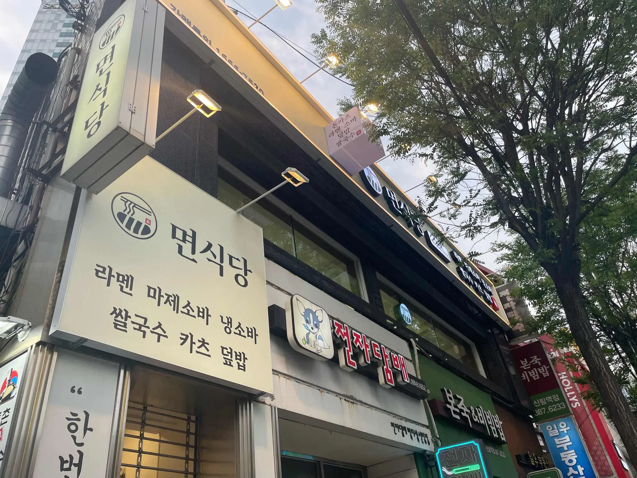 대표 사진 0