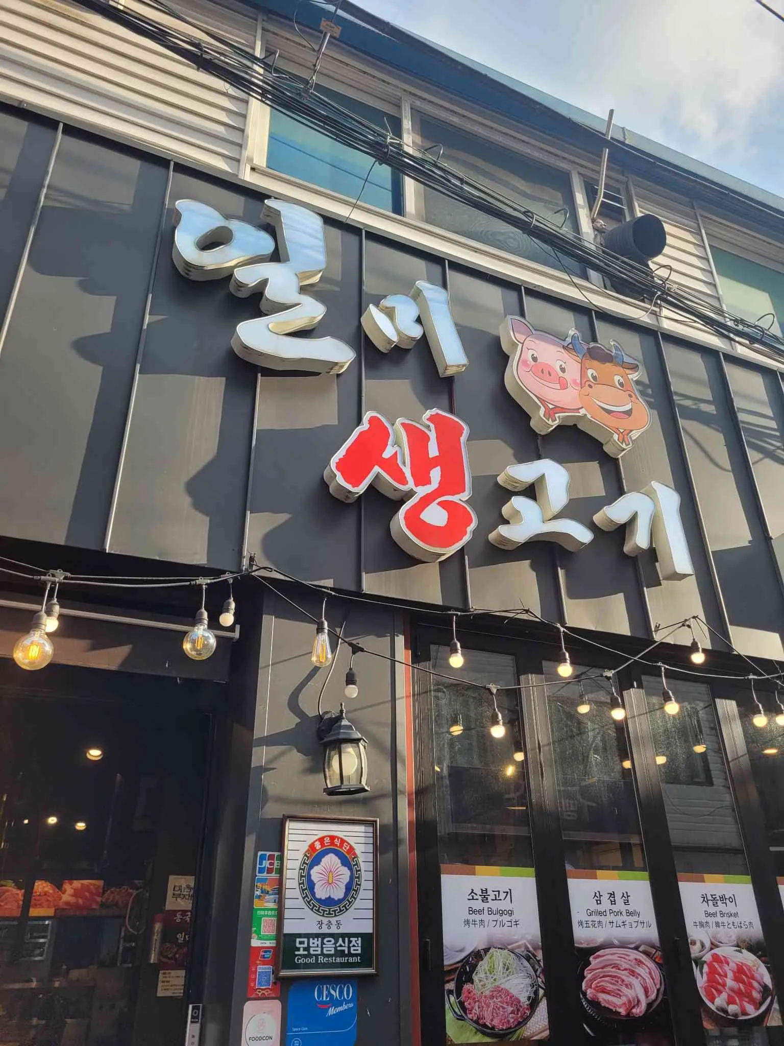 대표 사진 0