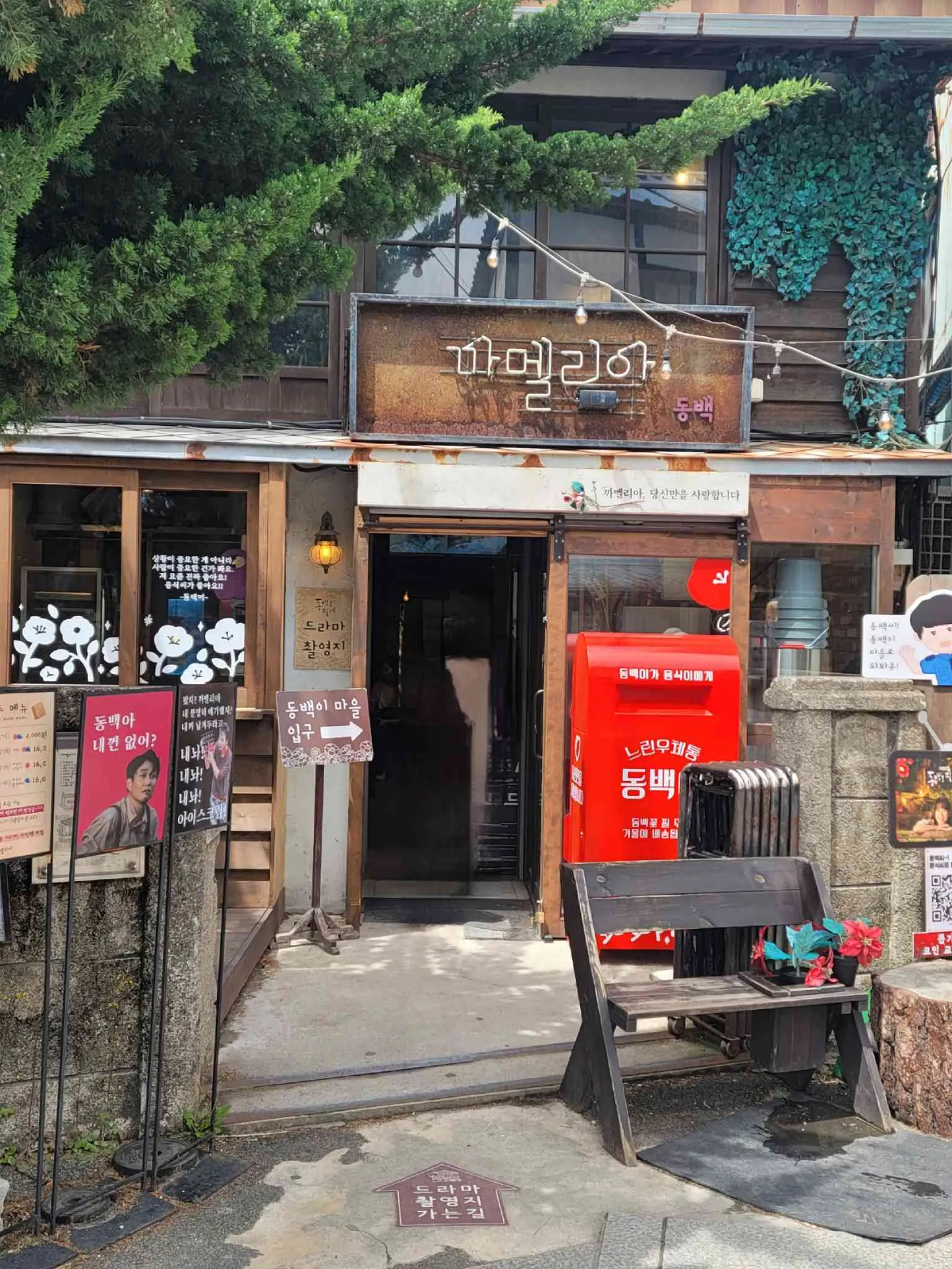 대표 사진 1