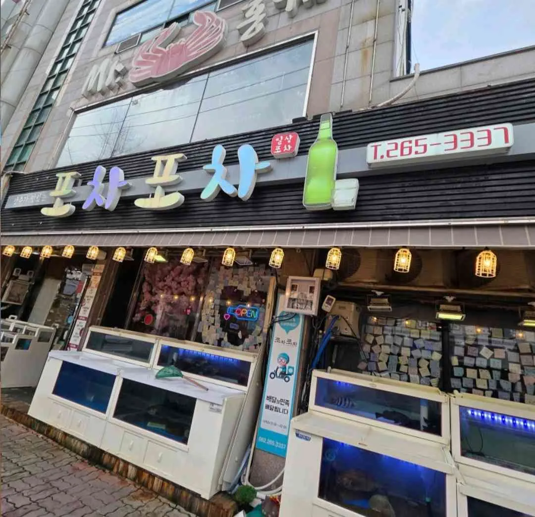 대표 사진 0