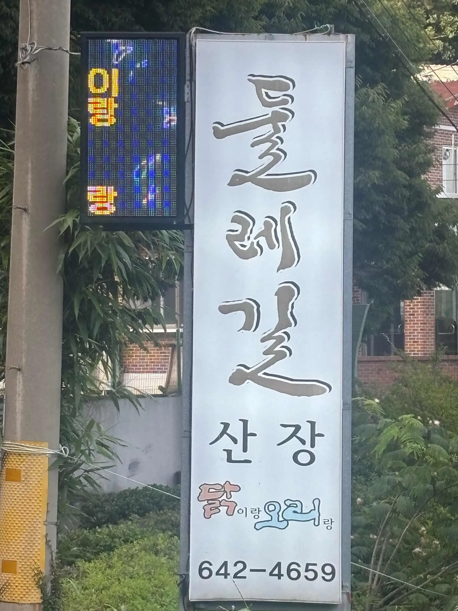 대표 사진 0