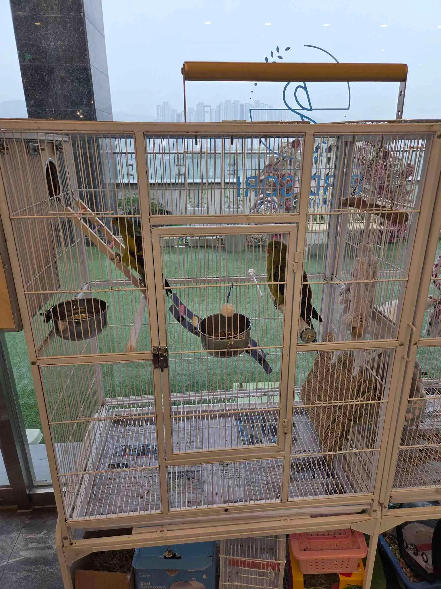 대표 사진 0