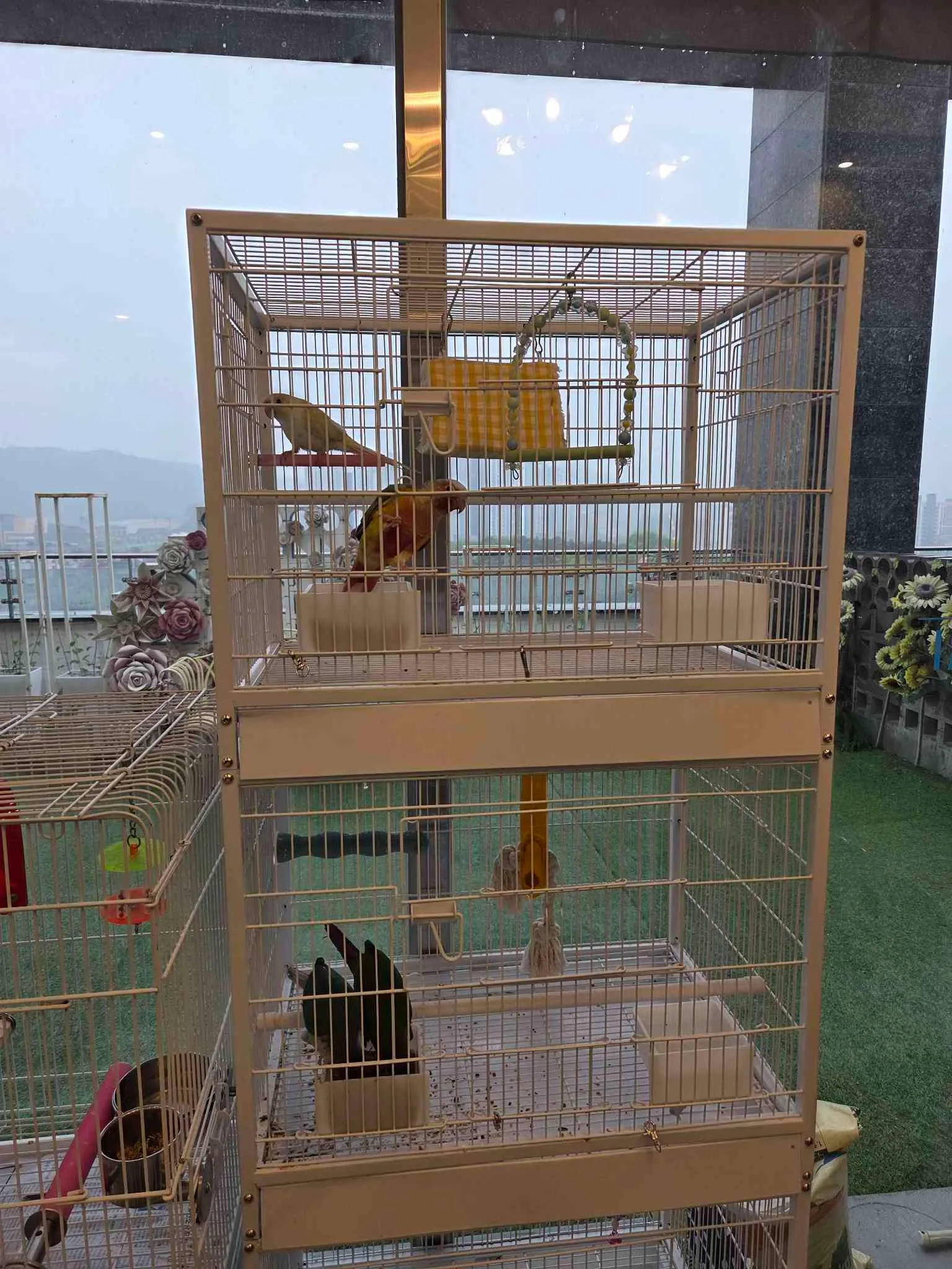 대표 사진 1