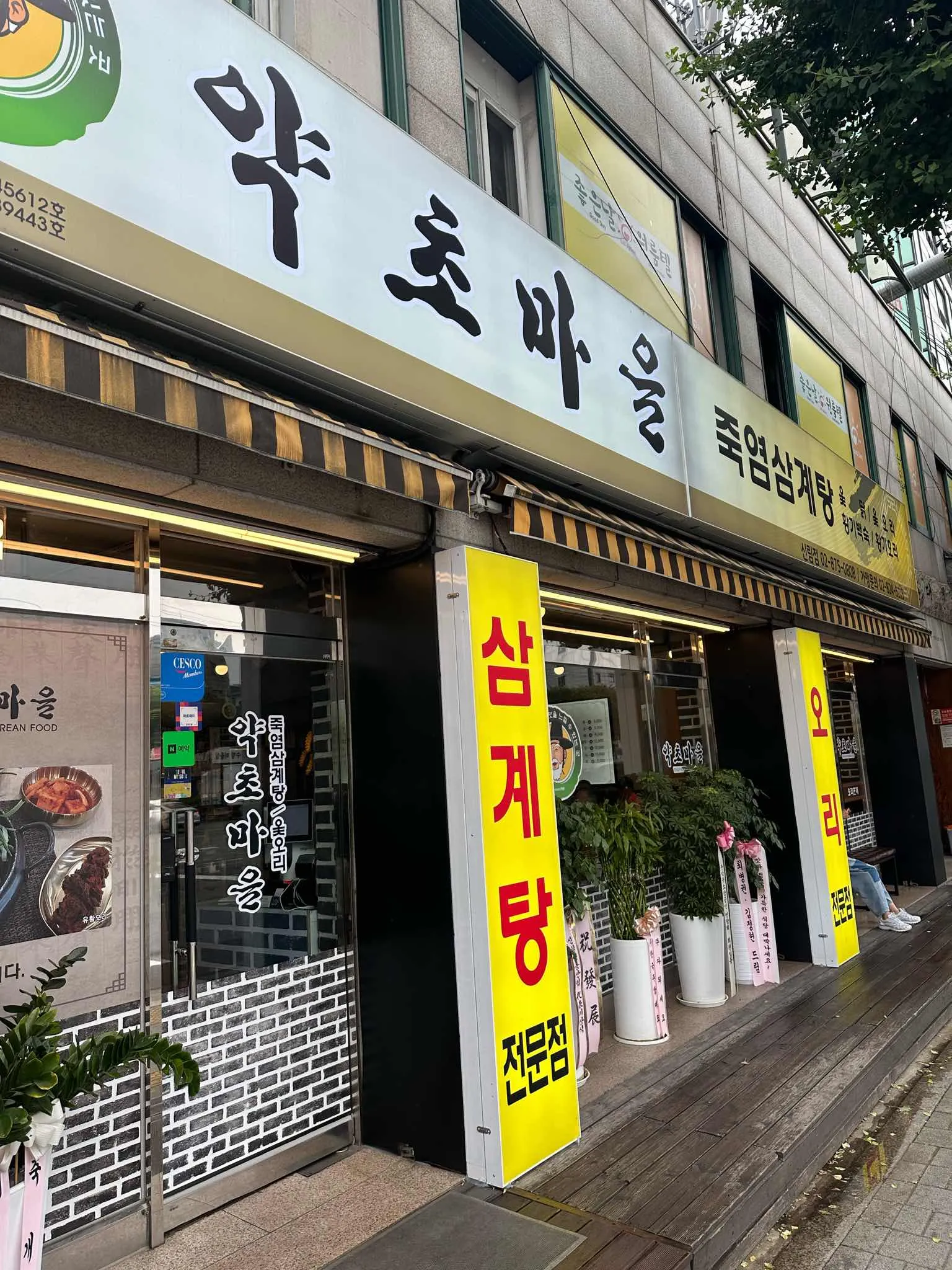 대표 사진 2