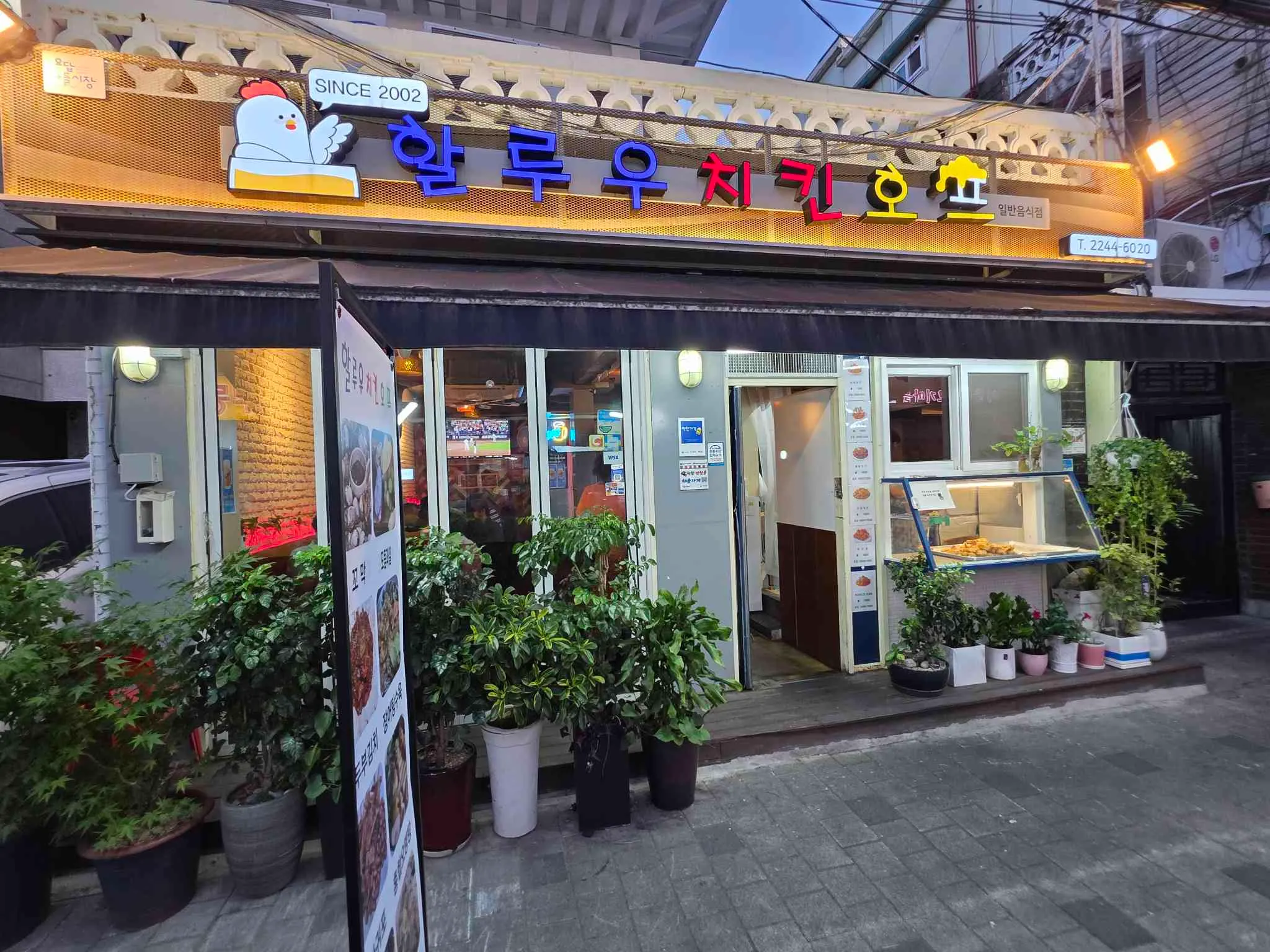 대표 사진 0