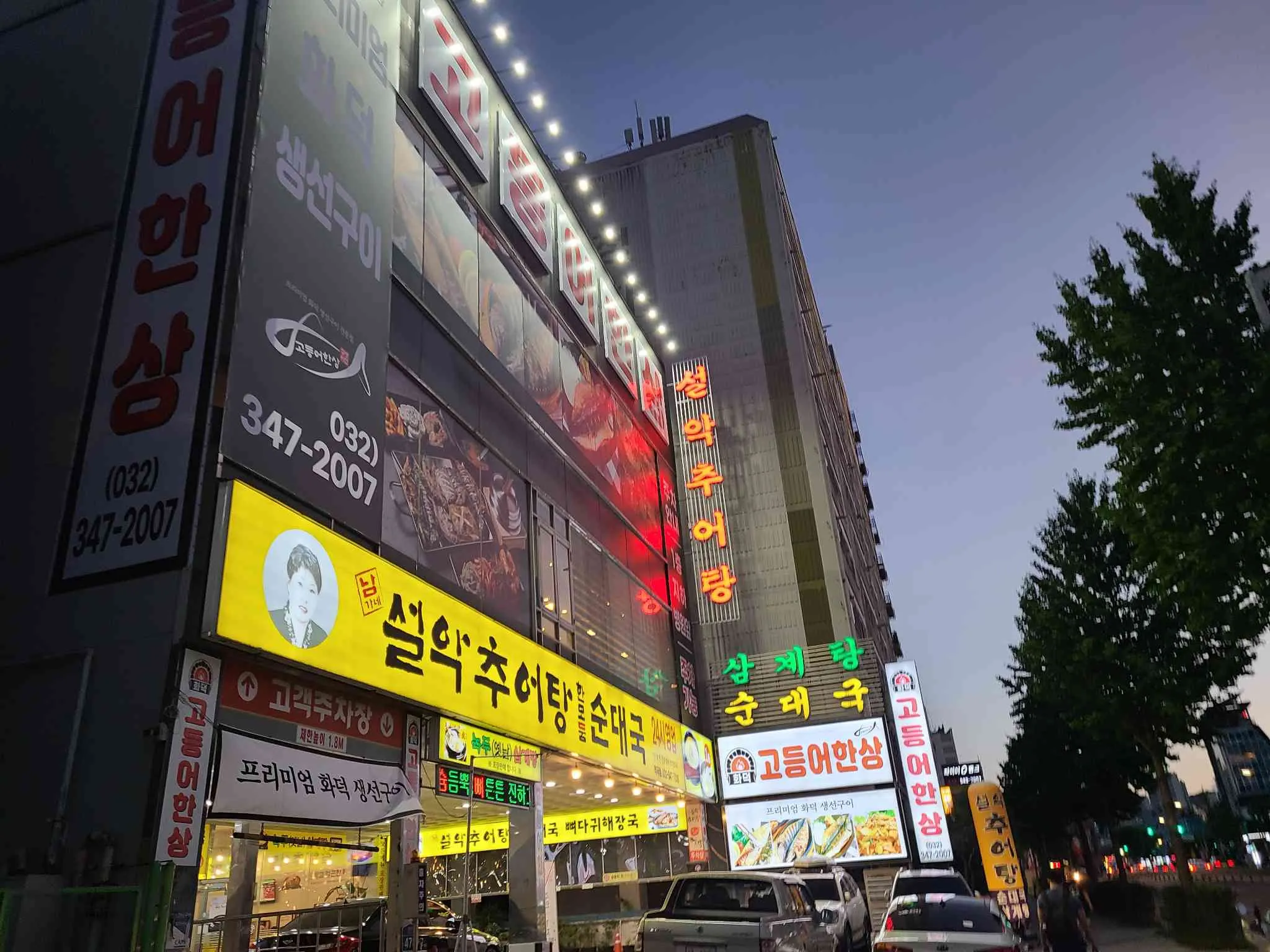 대표 사진 0