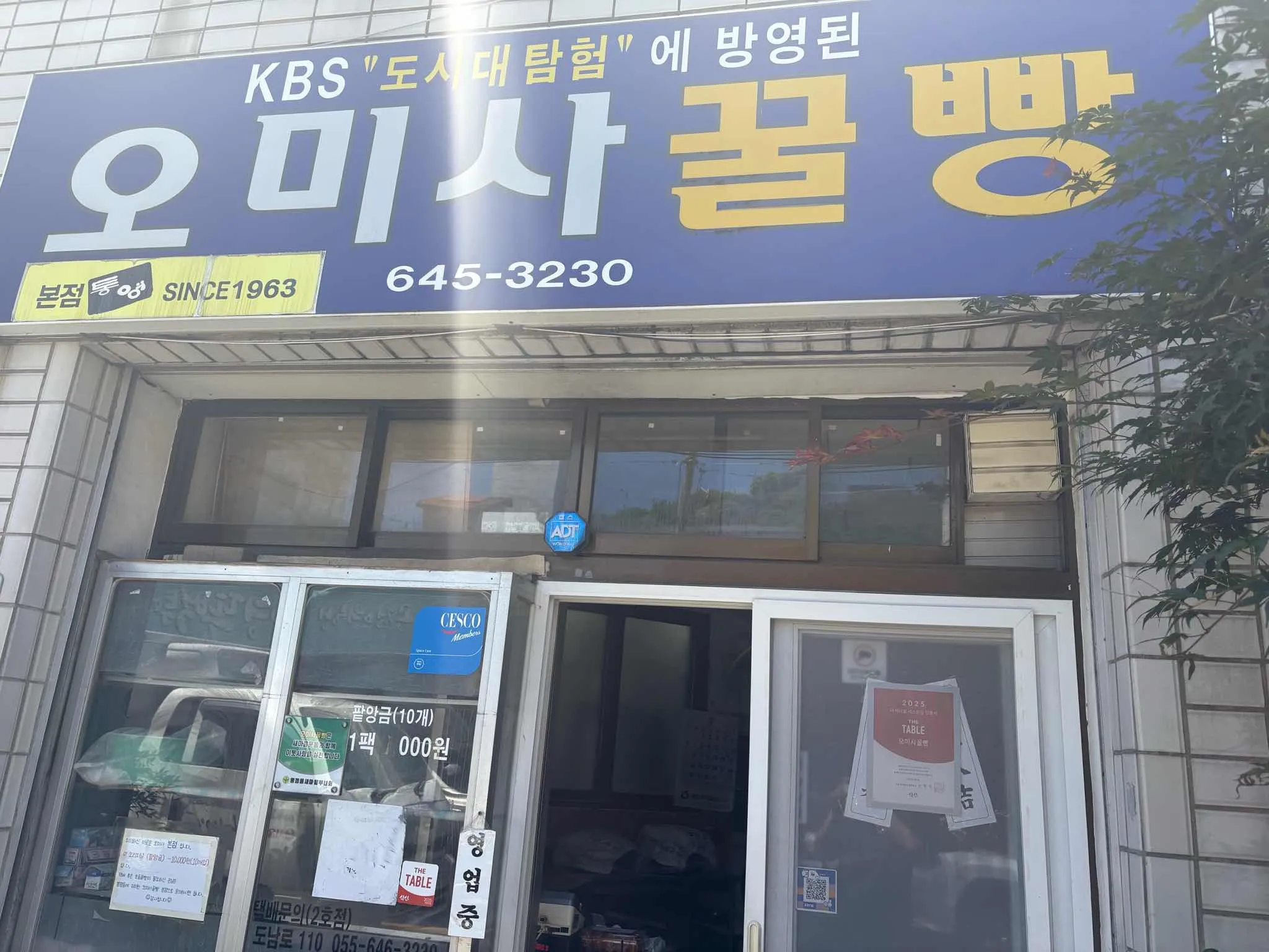 대표 사진 0