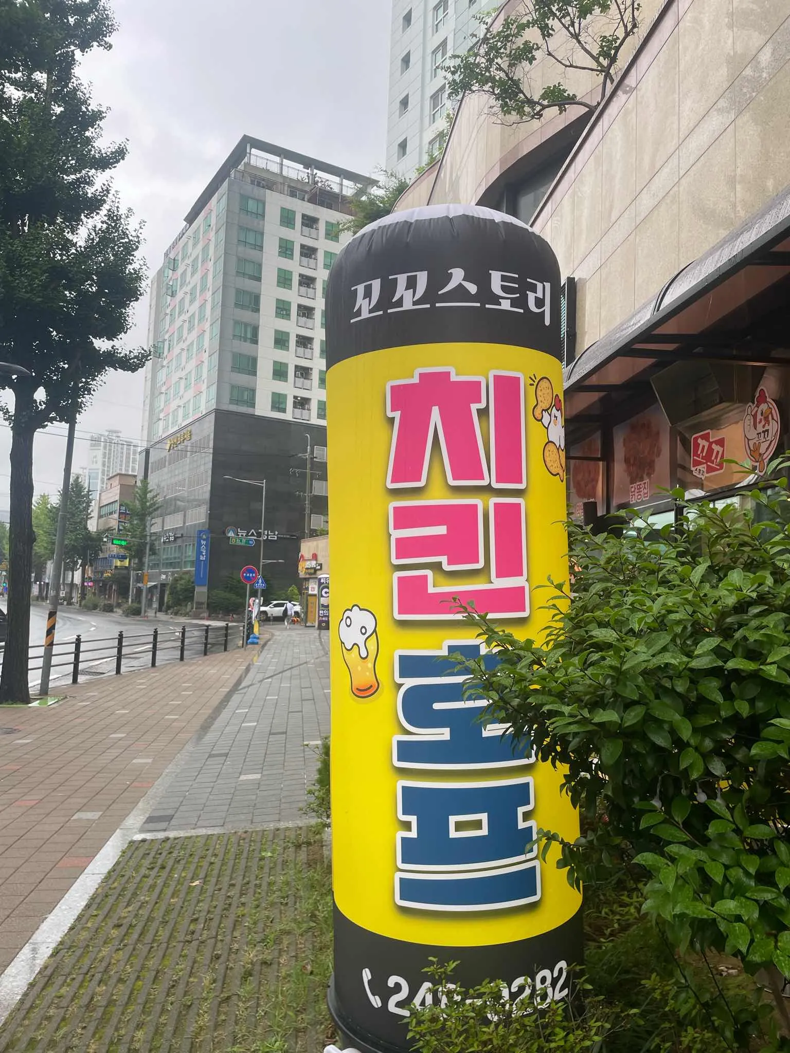 대표 사진 0