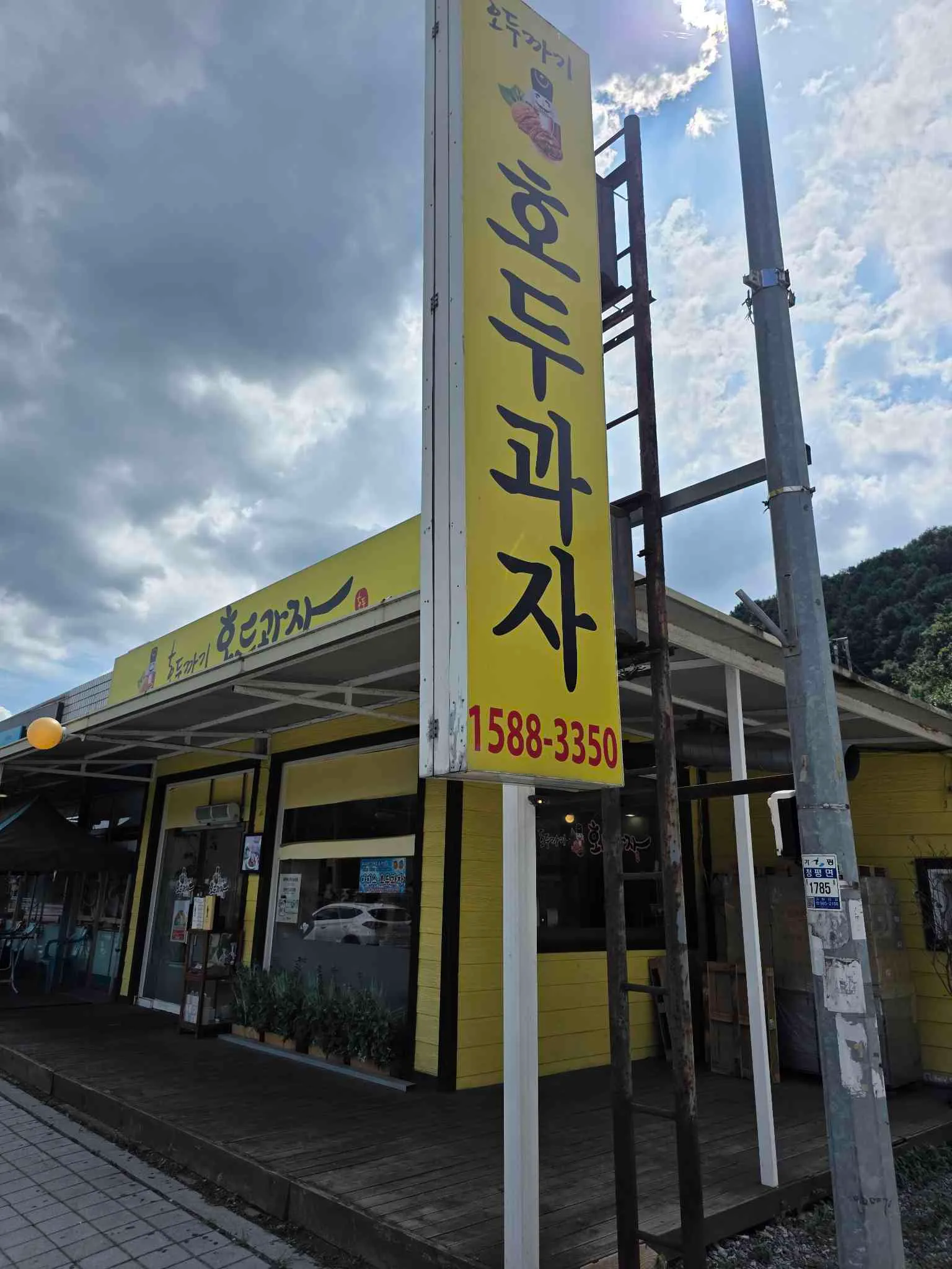 대표 사진 0