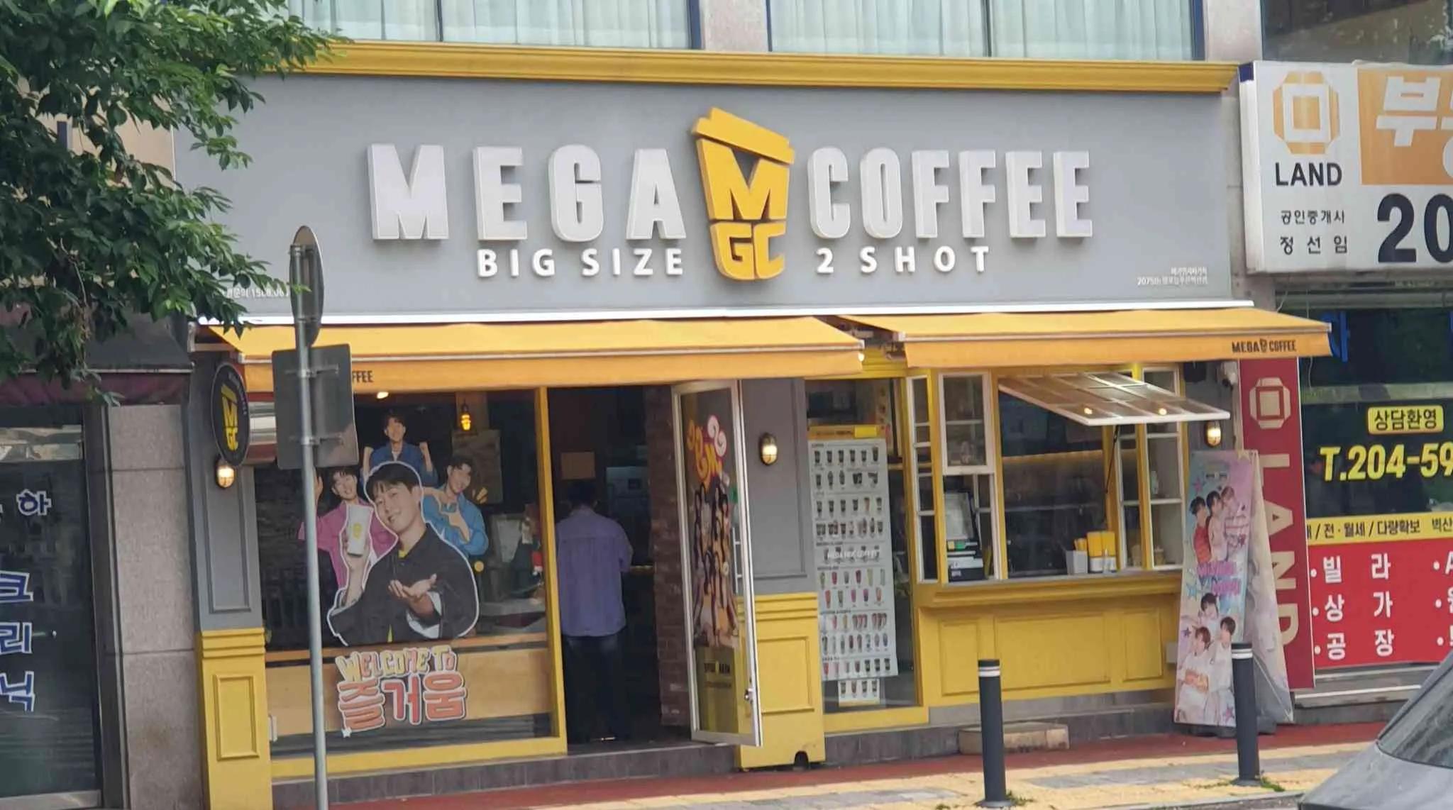 대표 사진 0