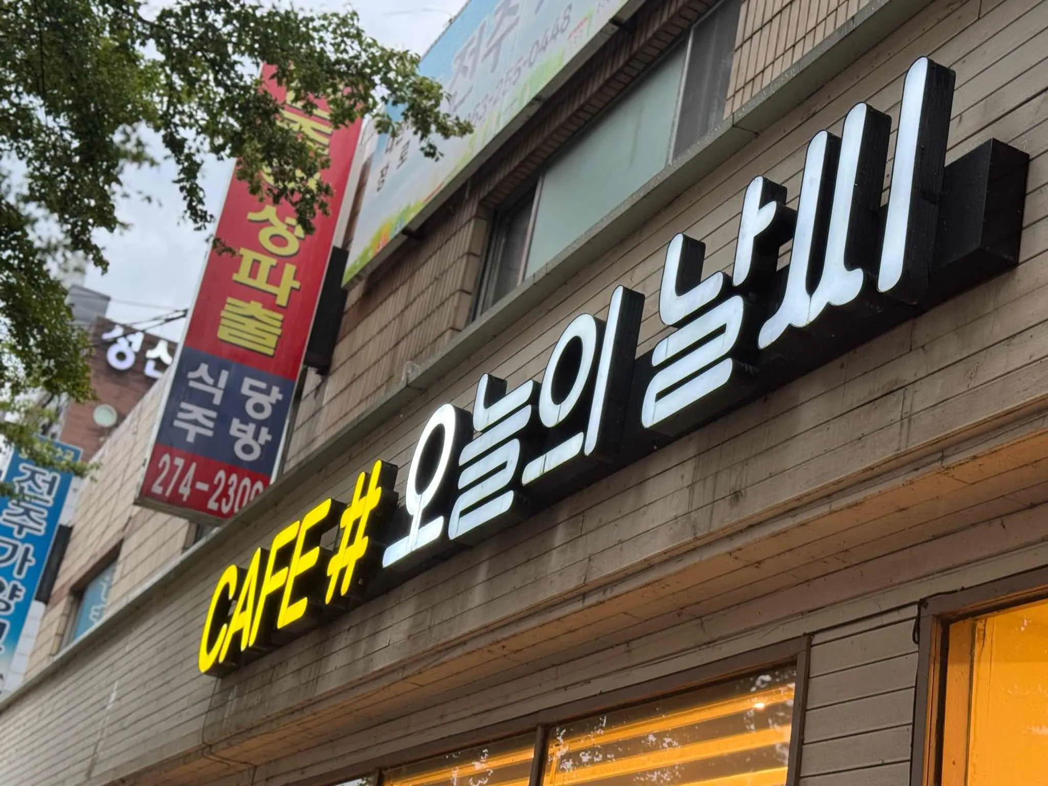 대표 사진 1